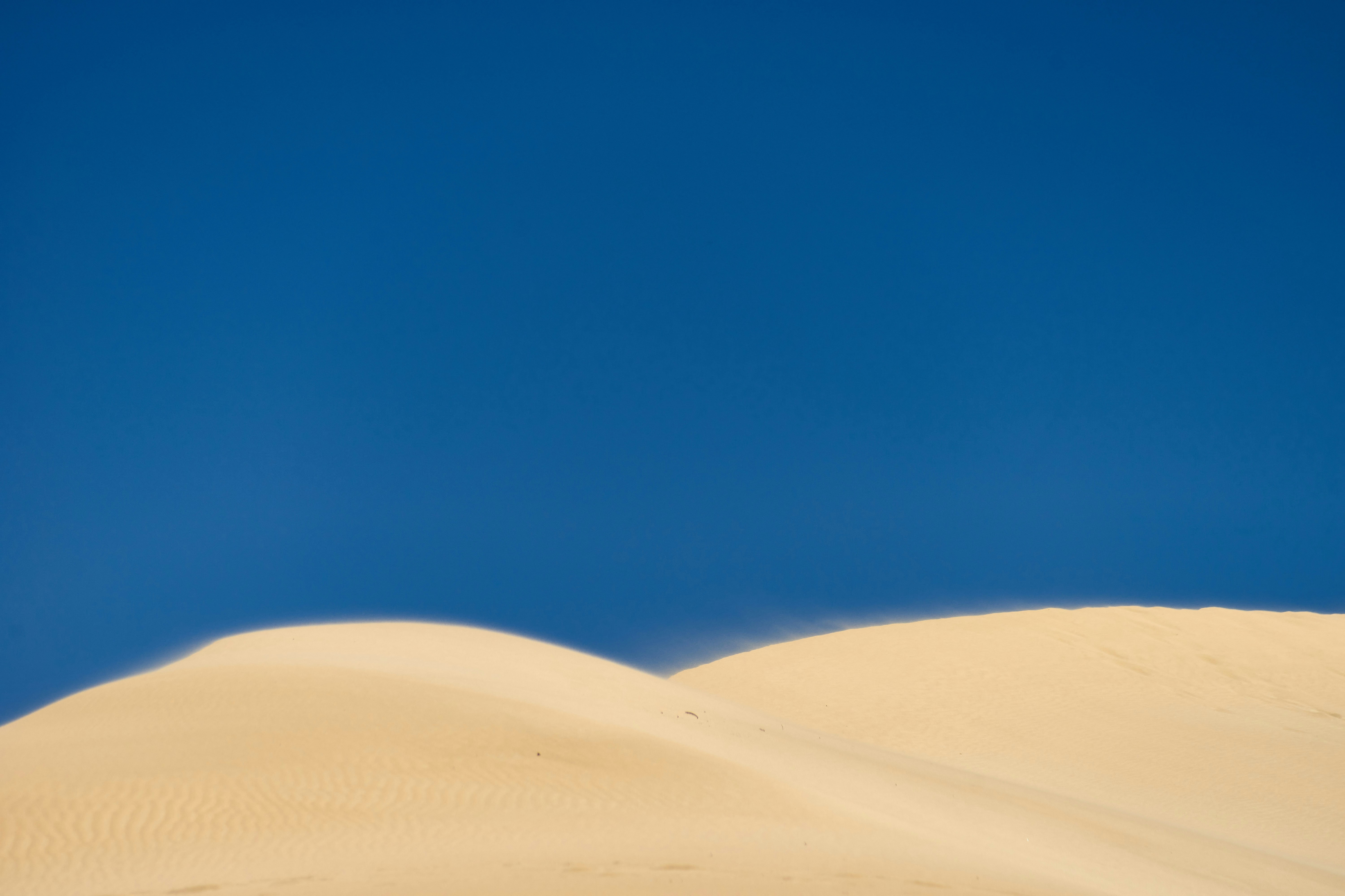 Photo by wolfgang_hasselmann