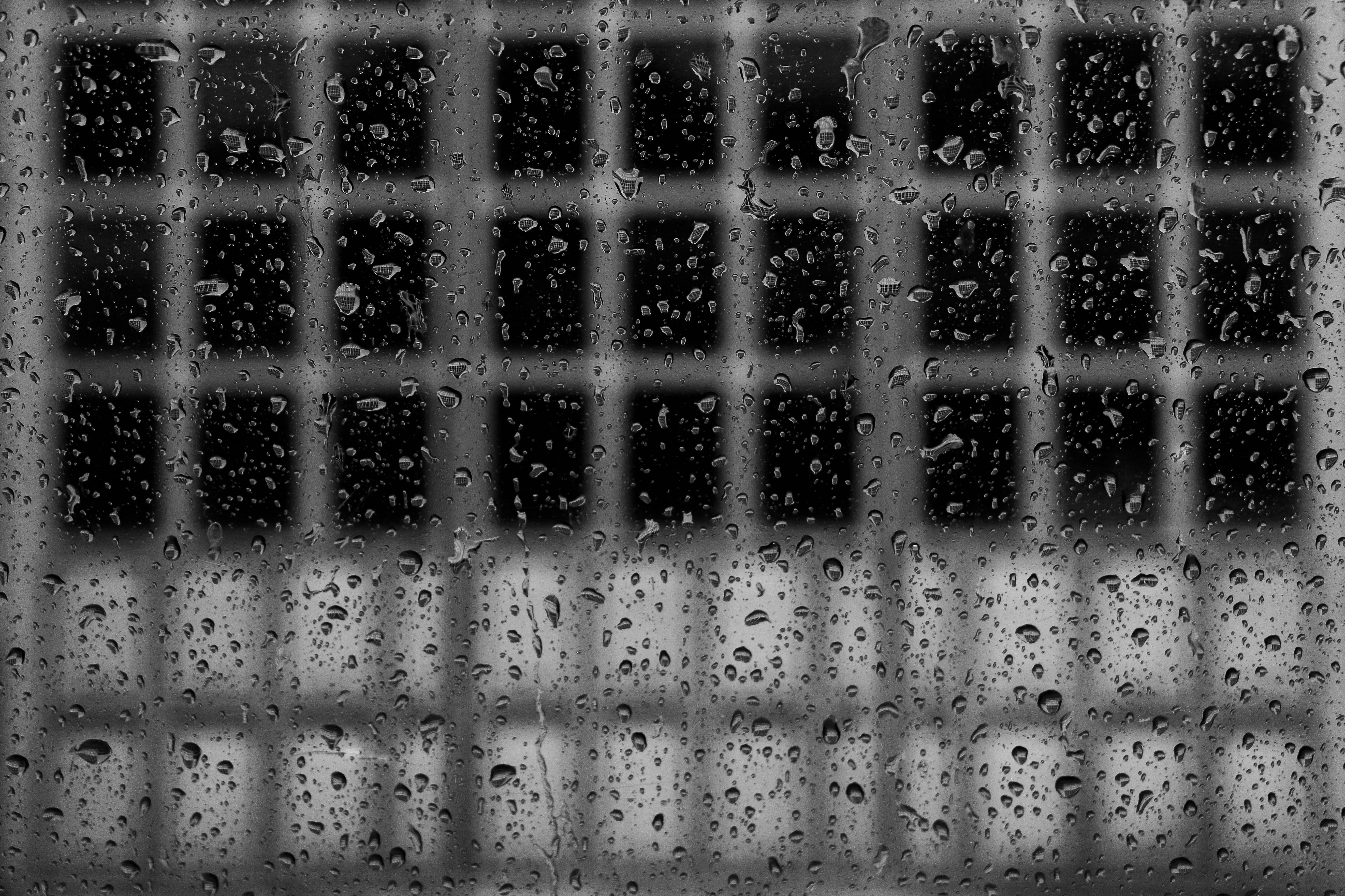 Photo by razipourjafari