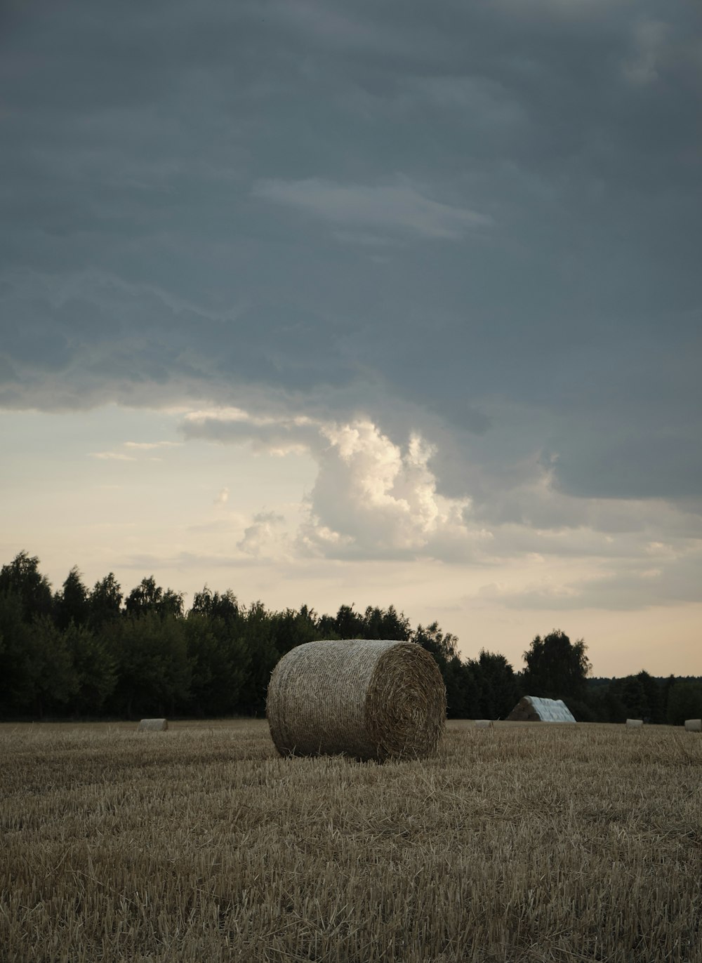 a large hay bale in a field with trees in the background
