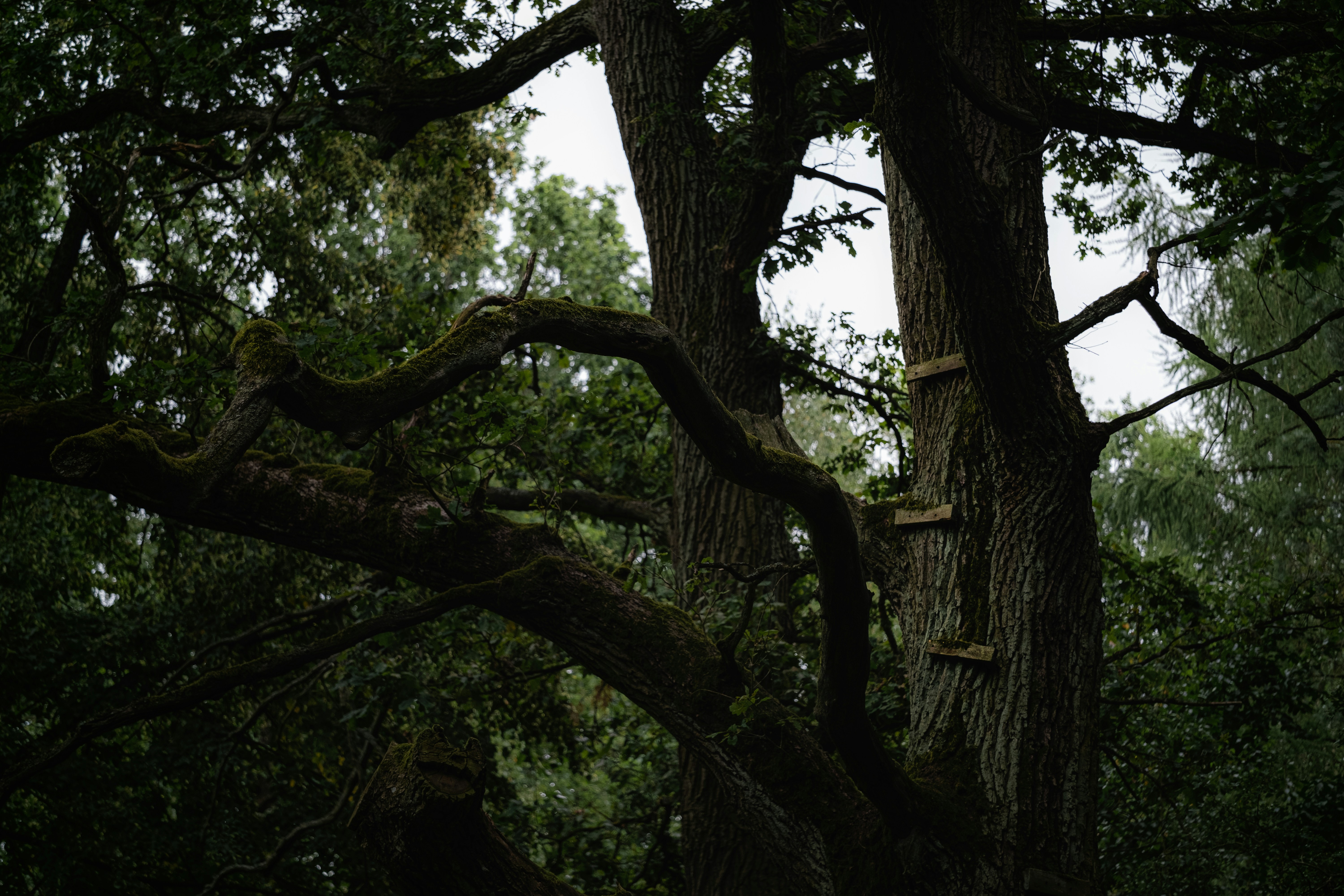 Photo by victor_vector