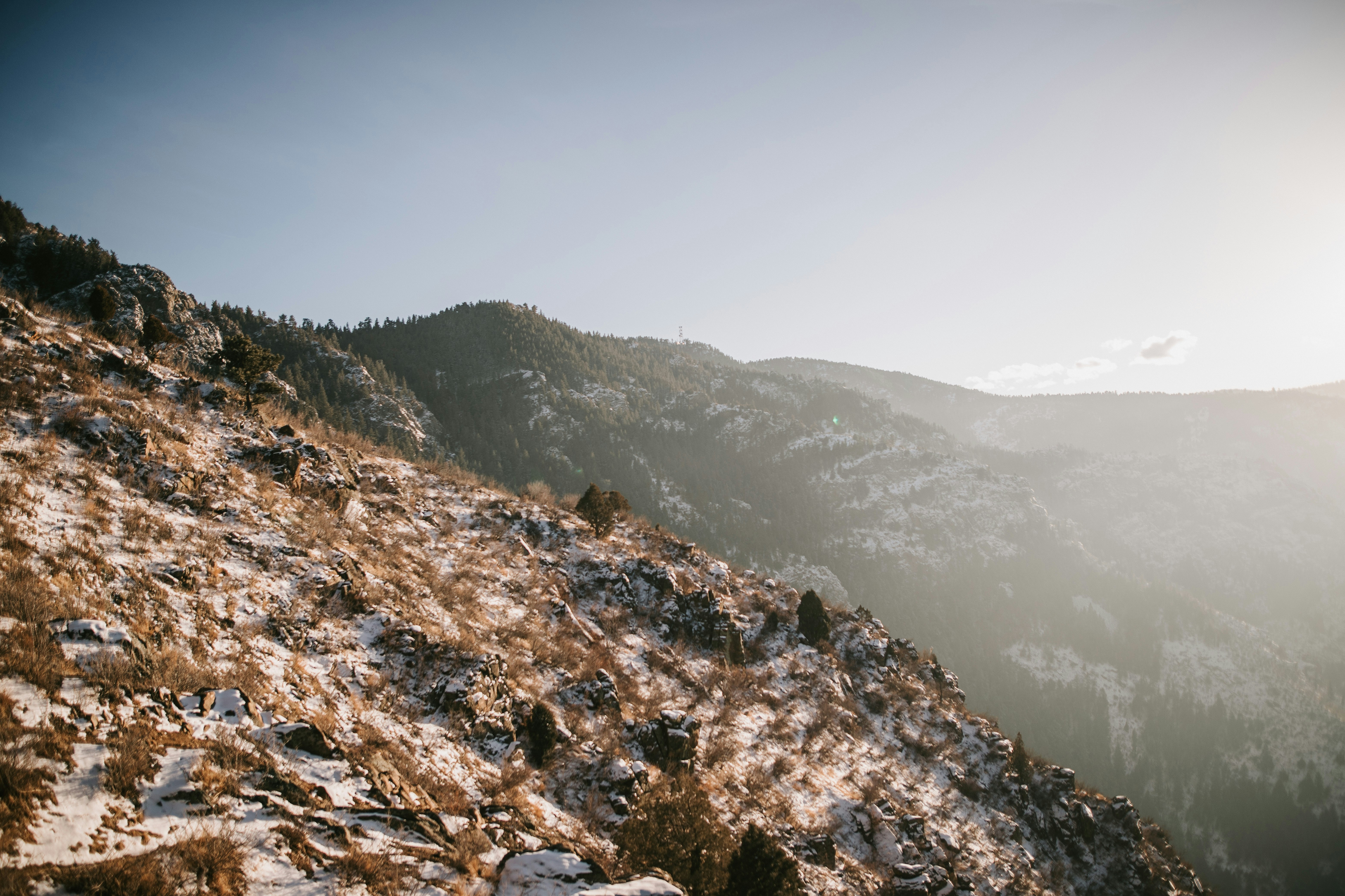 Photo by dillydallying