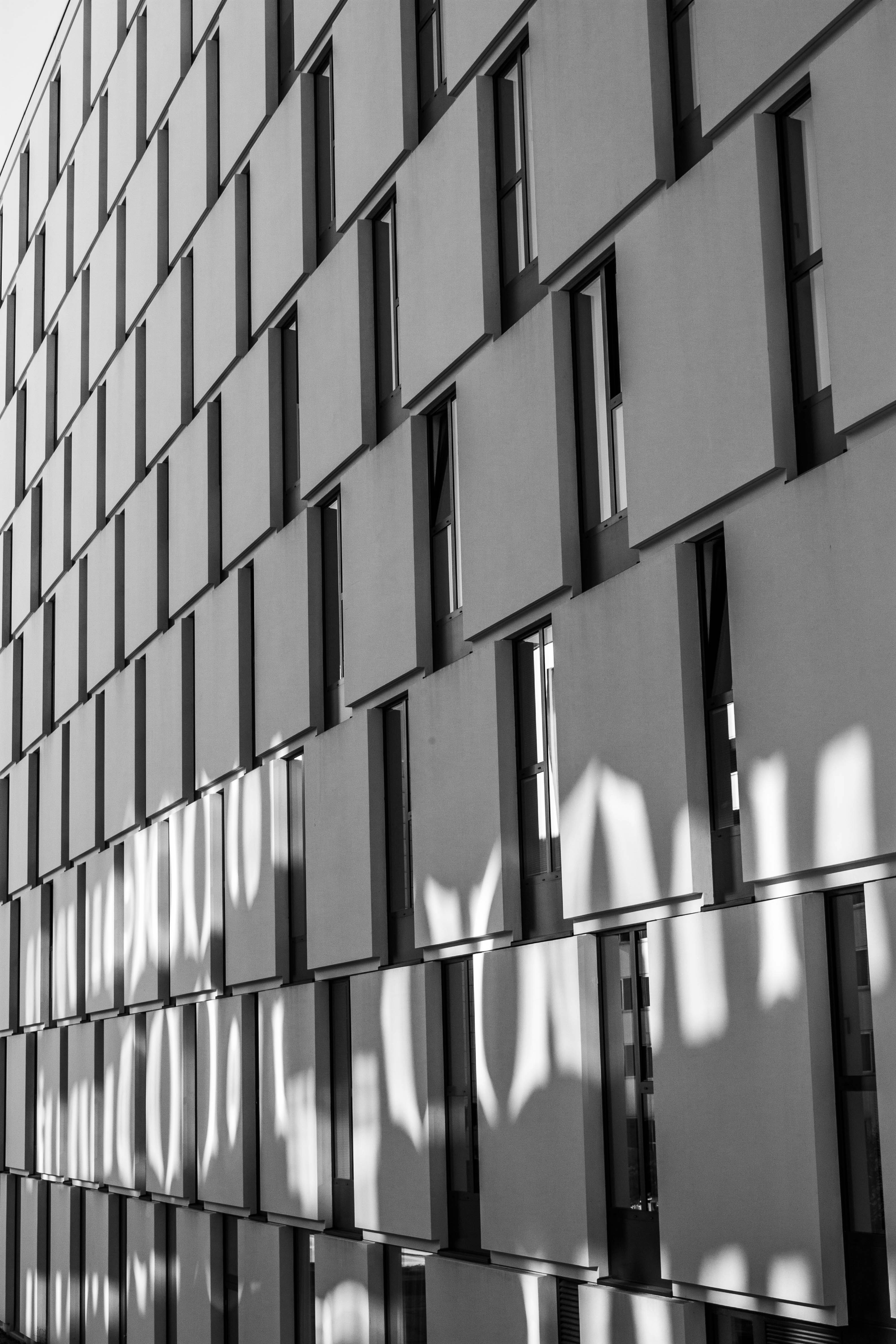 Photo by kamillaisalieva