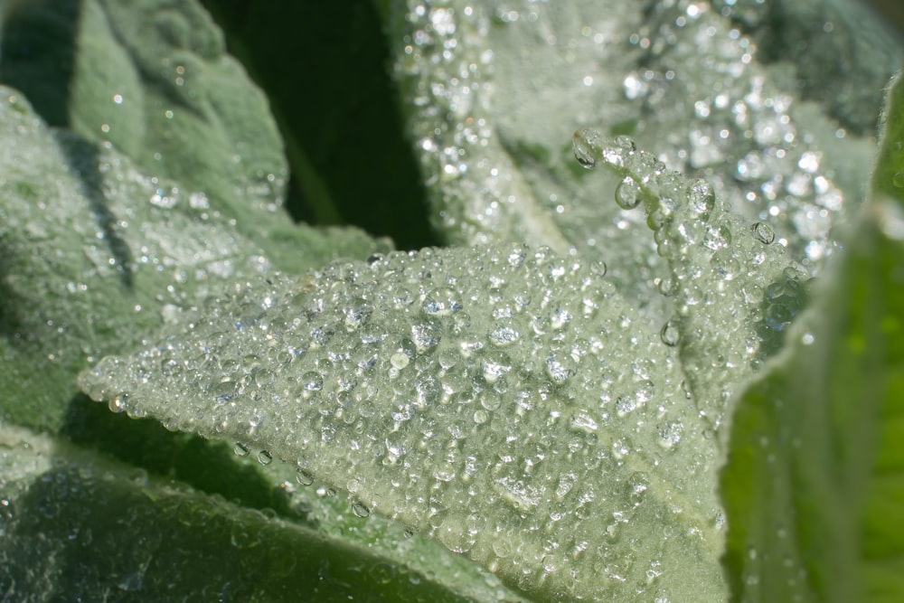 a close-up of some water