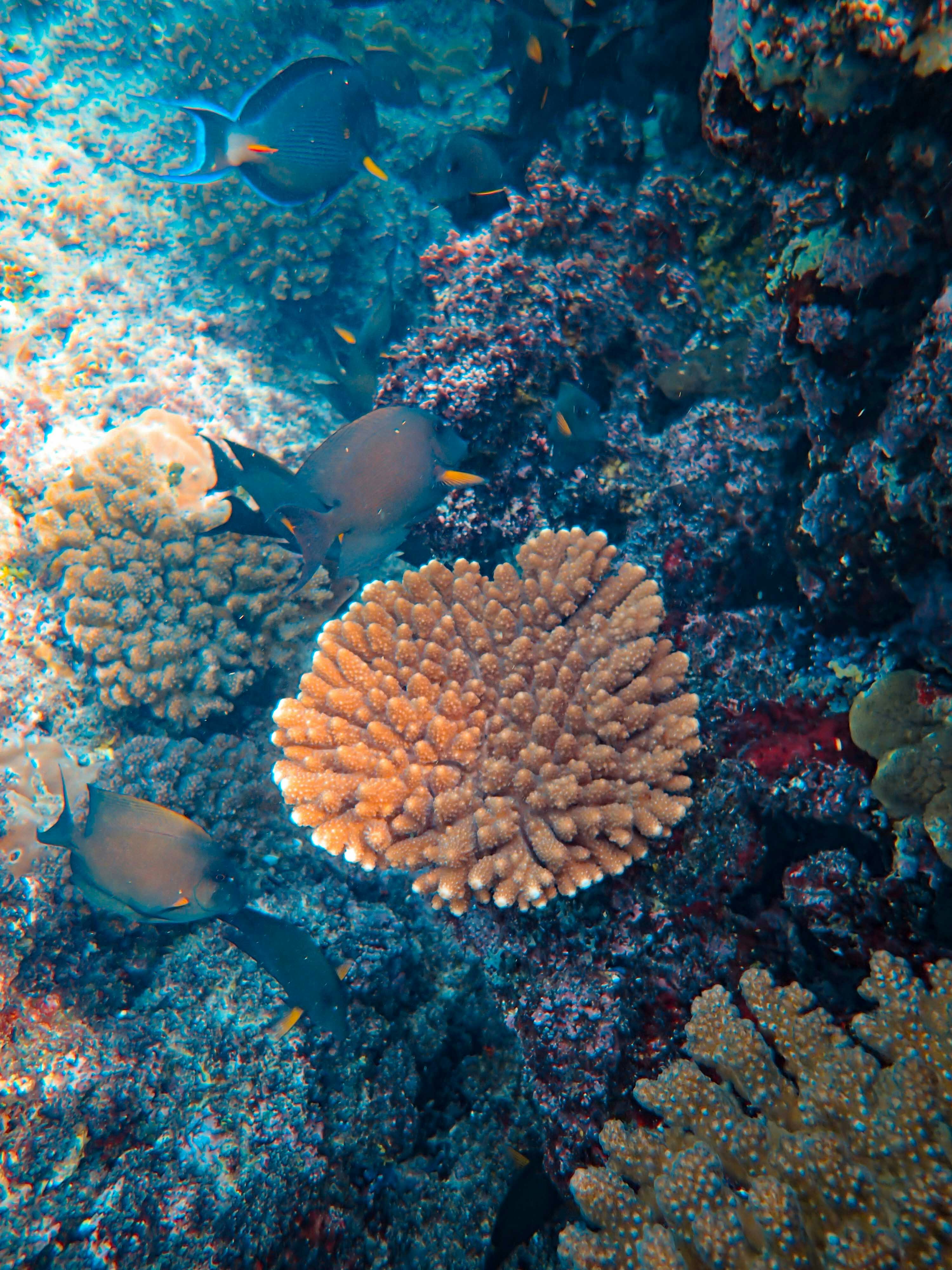 Photo by francesco_ungaro