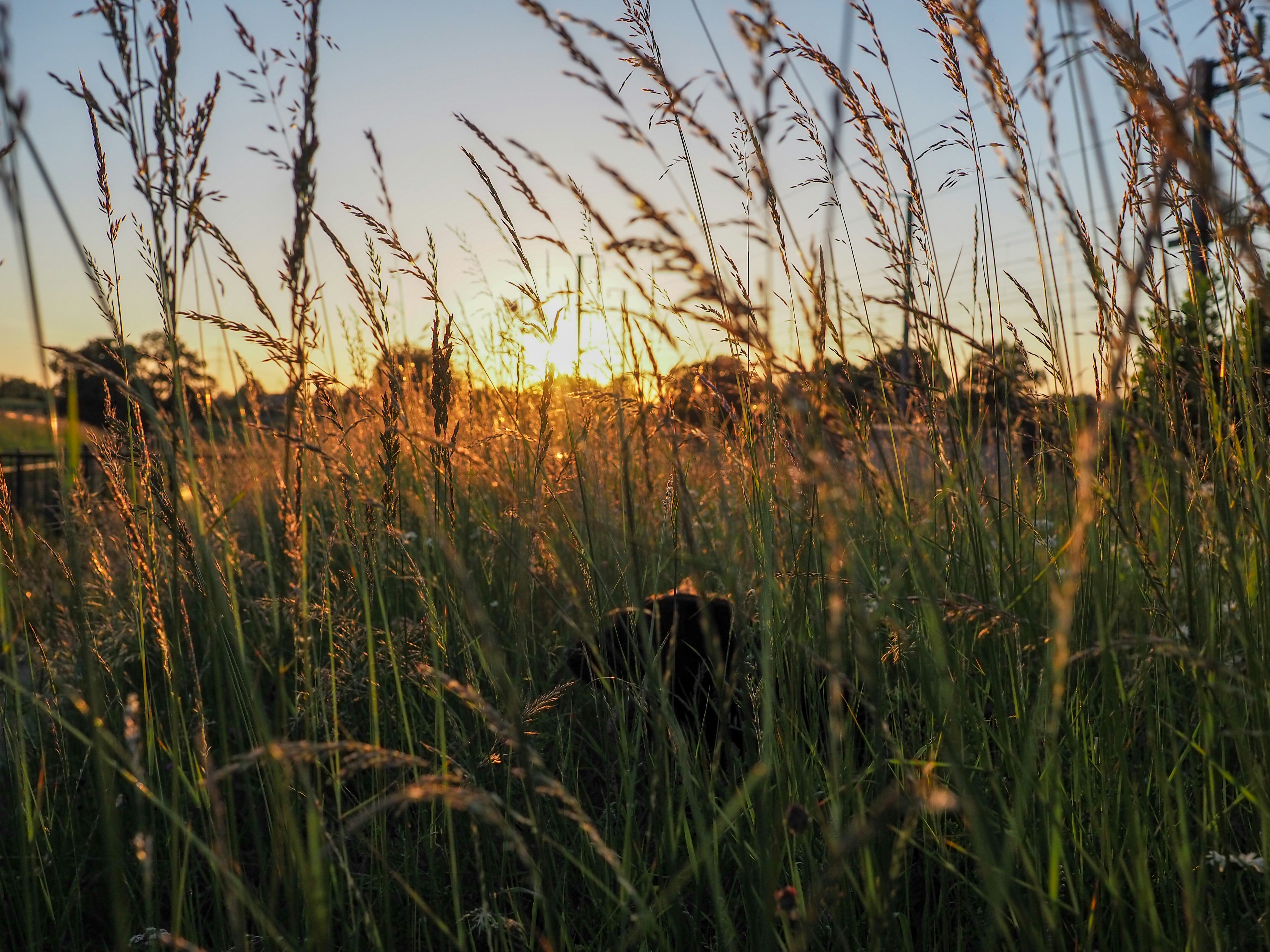 Photo by rikisvisuals