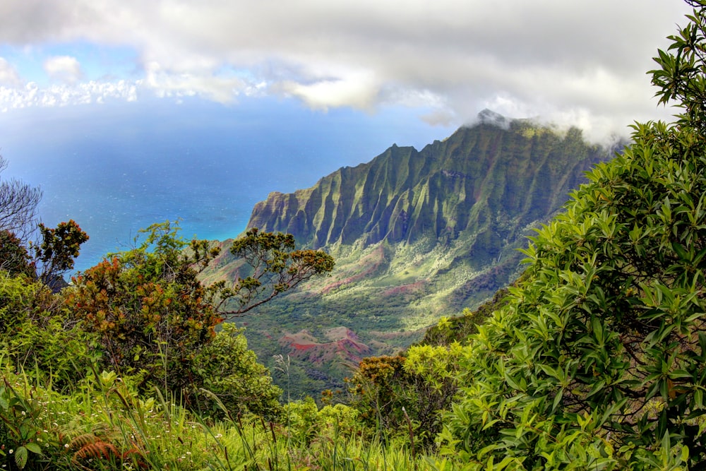 a view of a mountain range from a forest