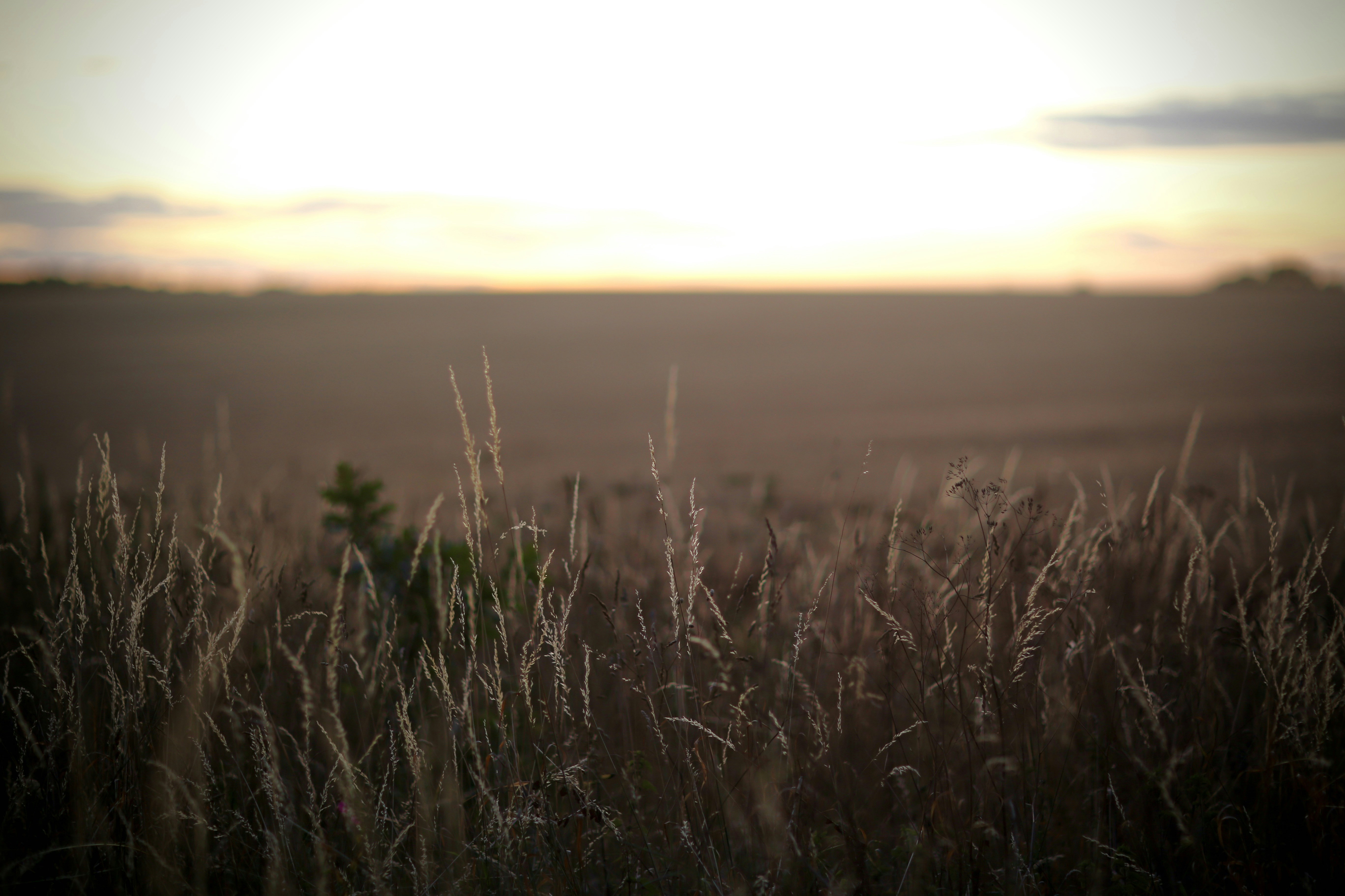 Photo by richardpennystan