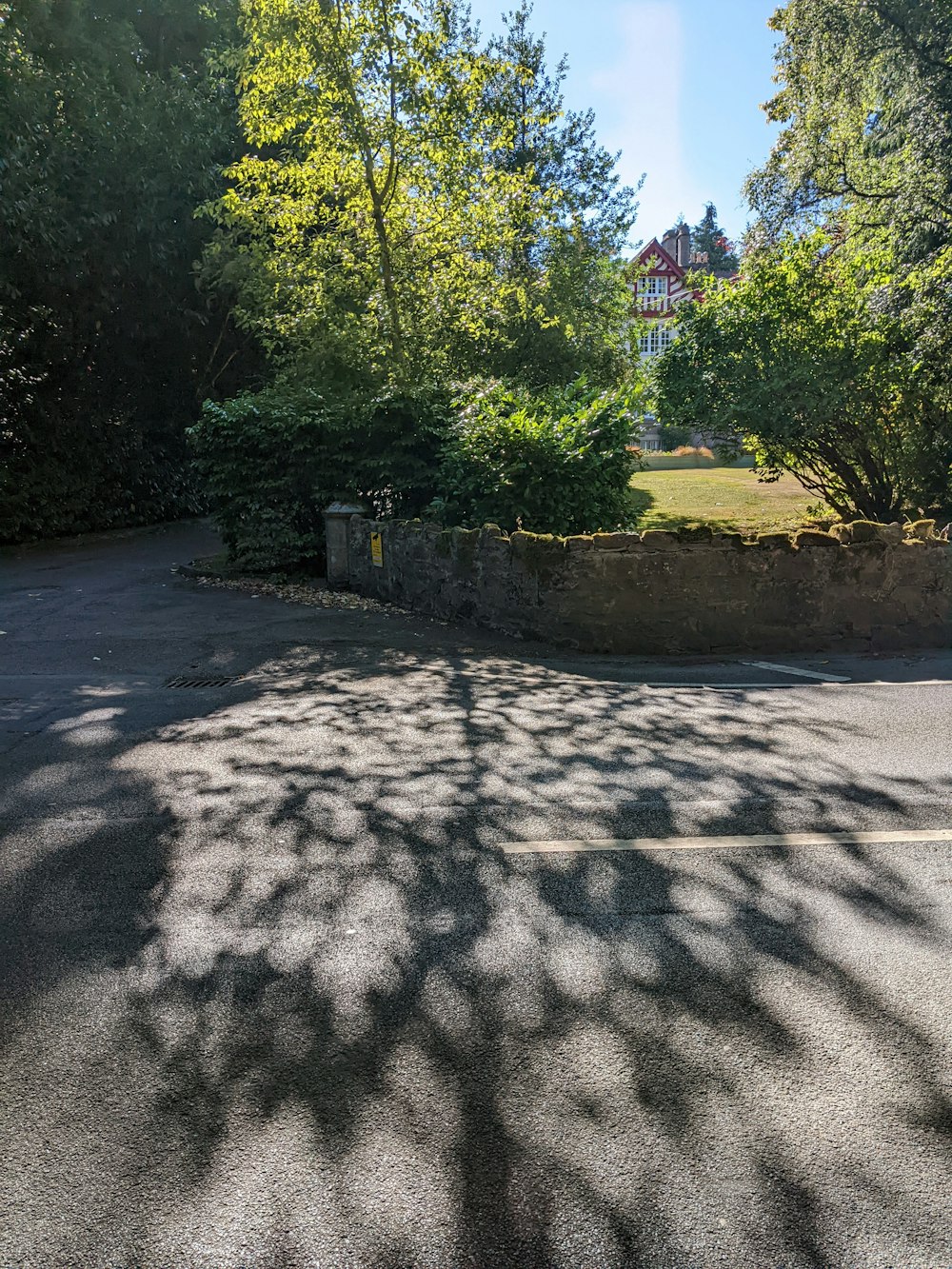 a road with trees on the side