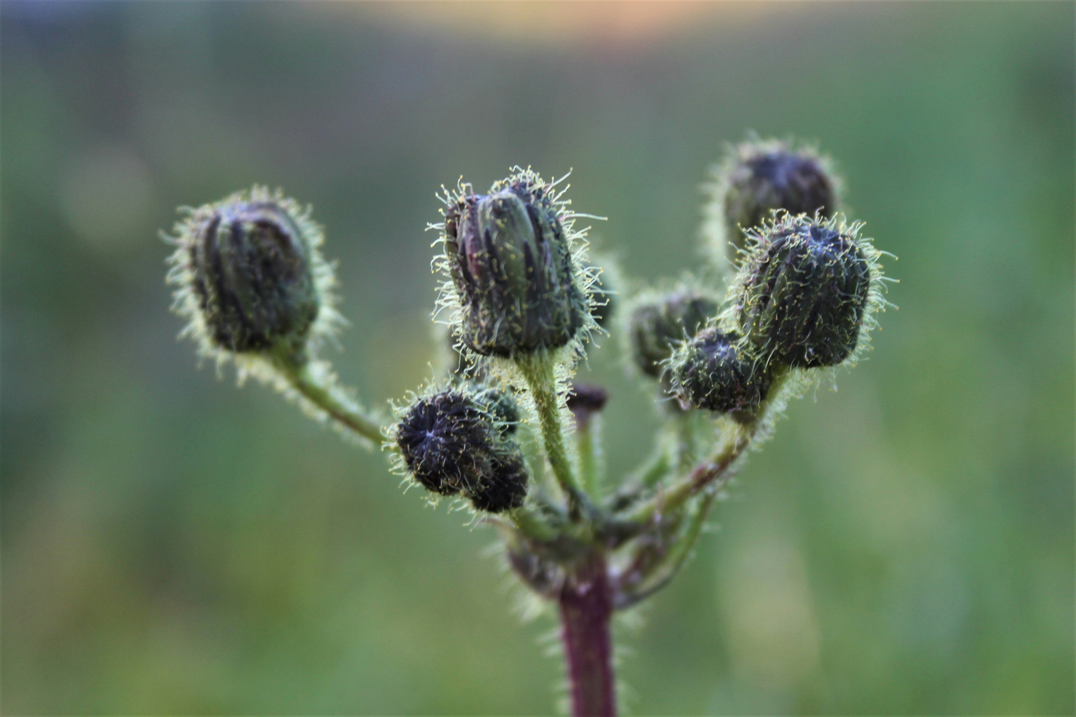 Photo by volvoerendrittbil2021