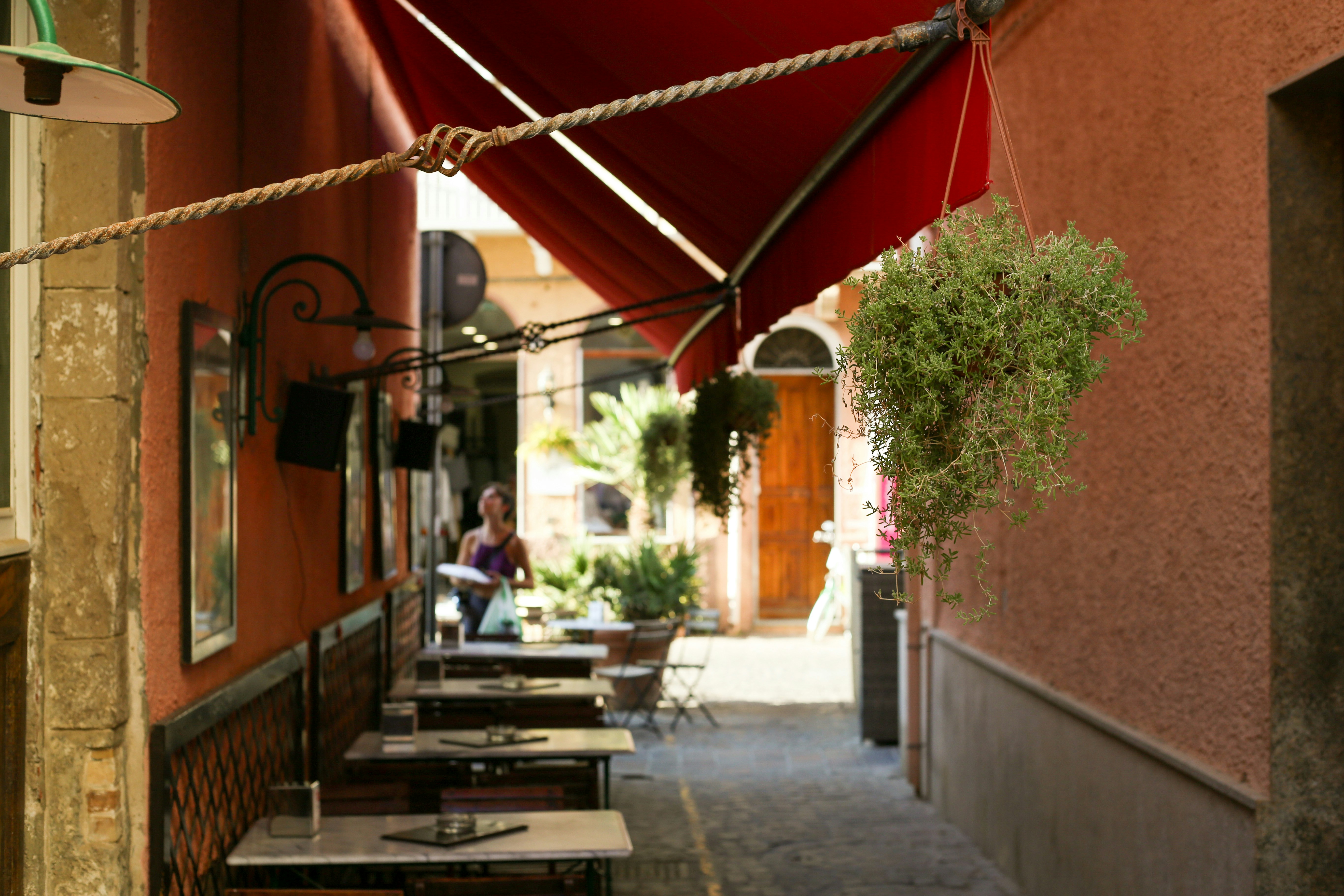 Photo by michelelana