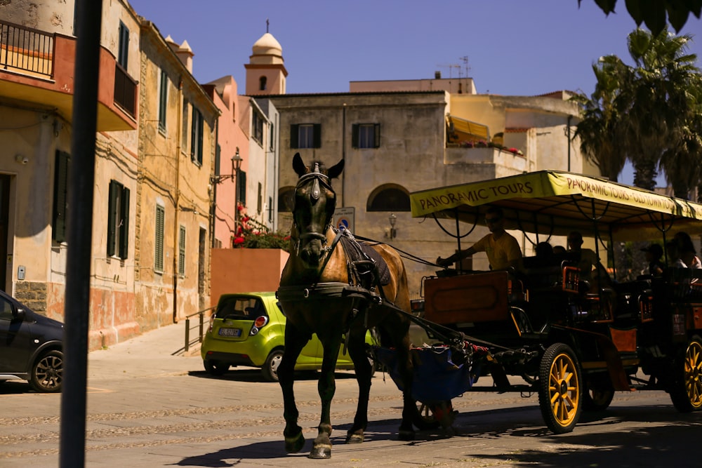 a horse carriage on the street