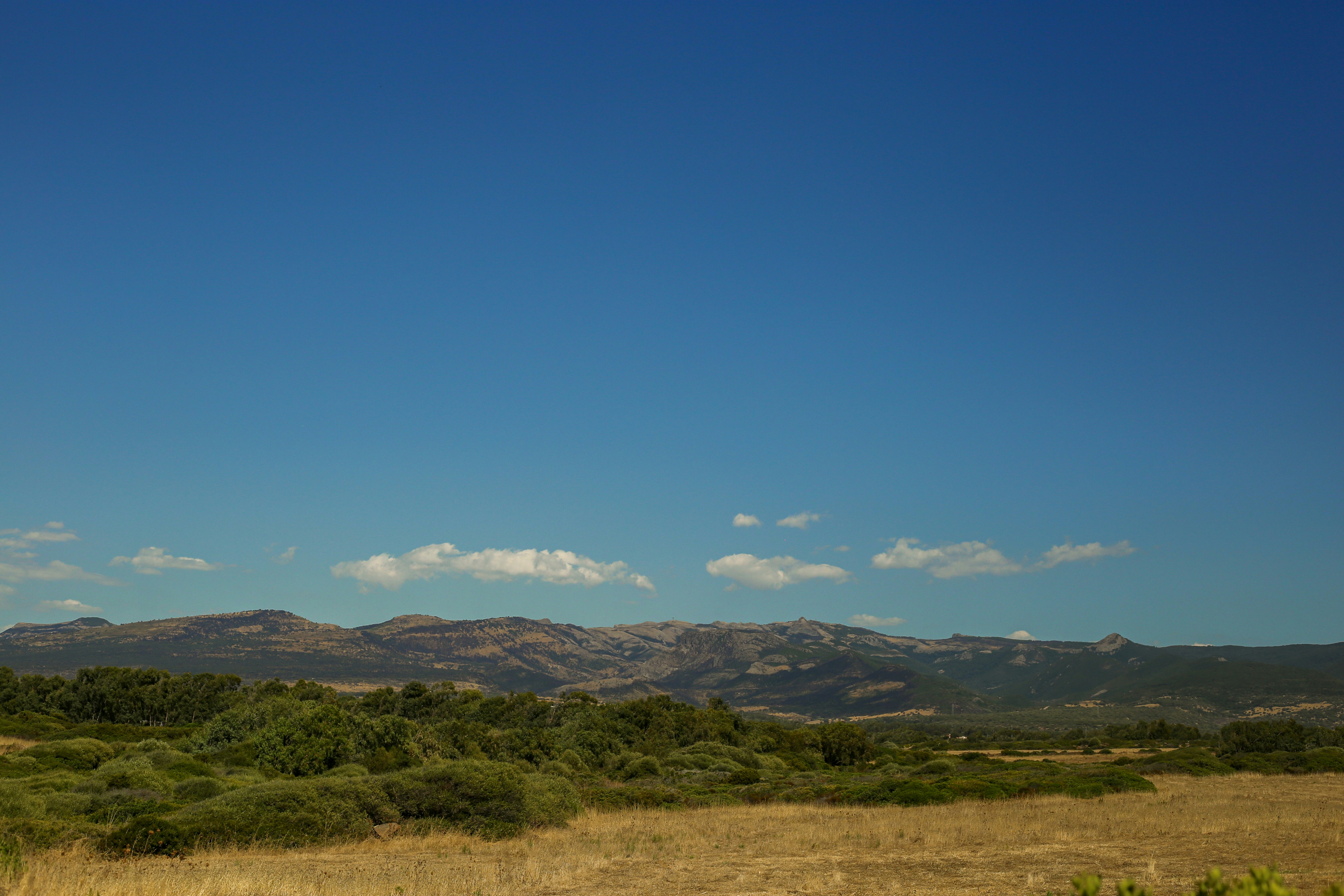 Photo by michelelana