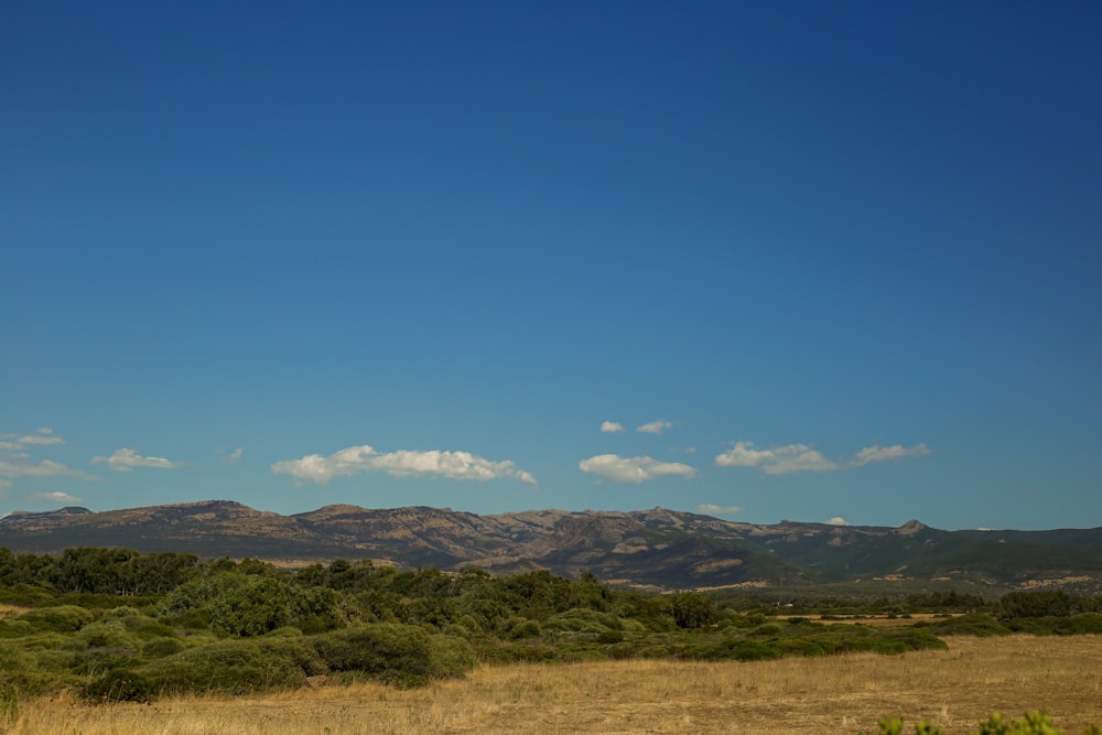 a landscape with hills in the back