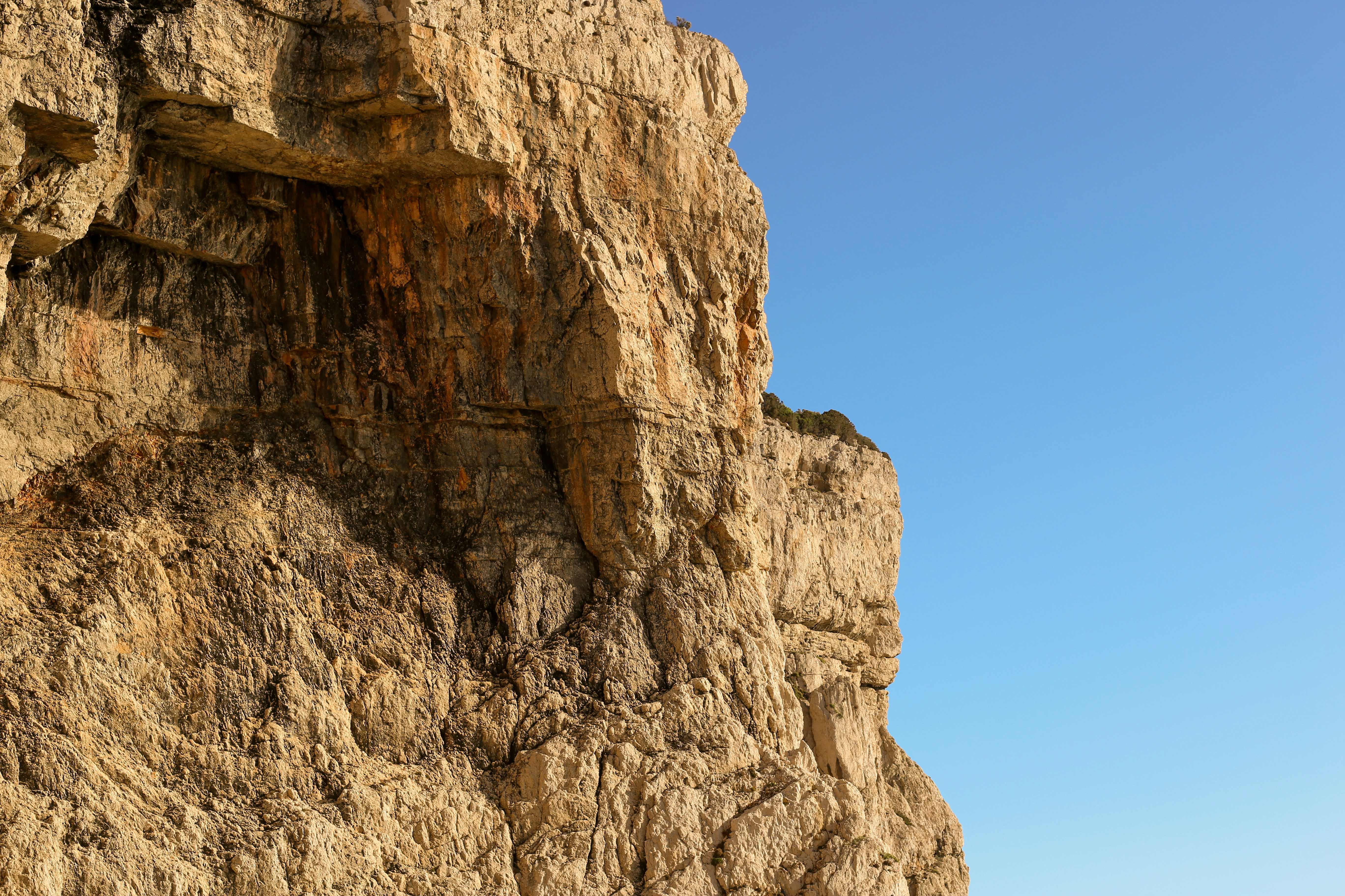 Photo by michelelana