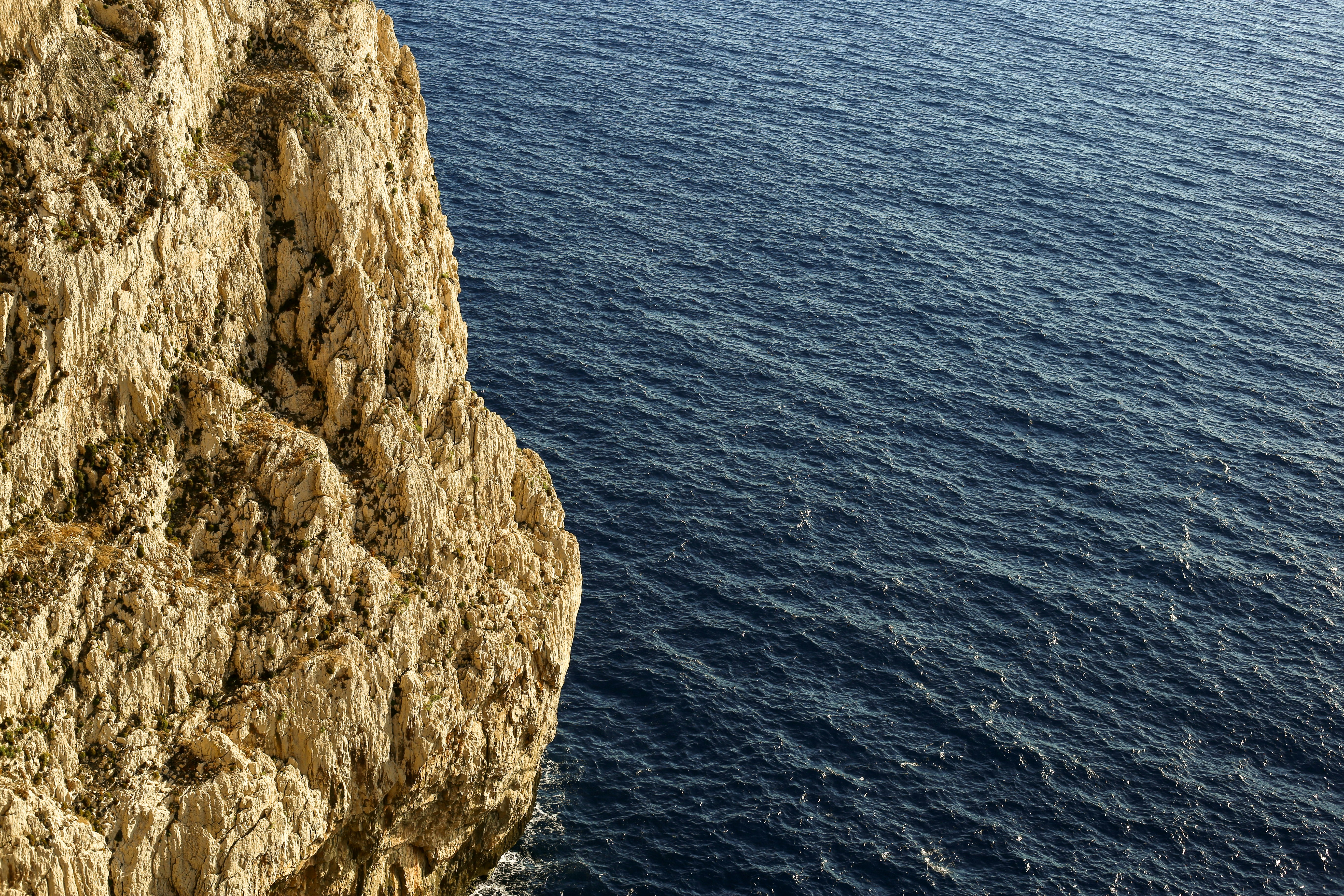 Photo by michelelana