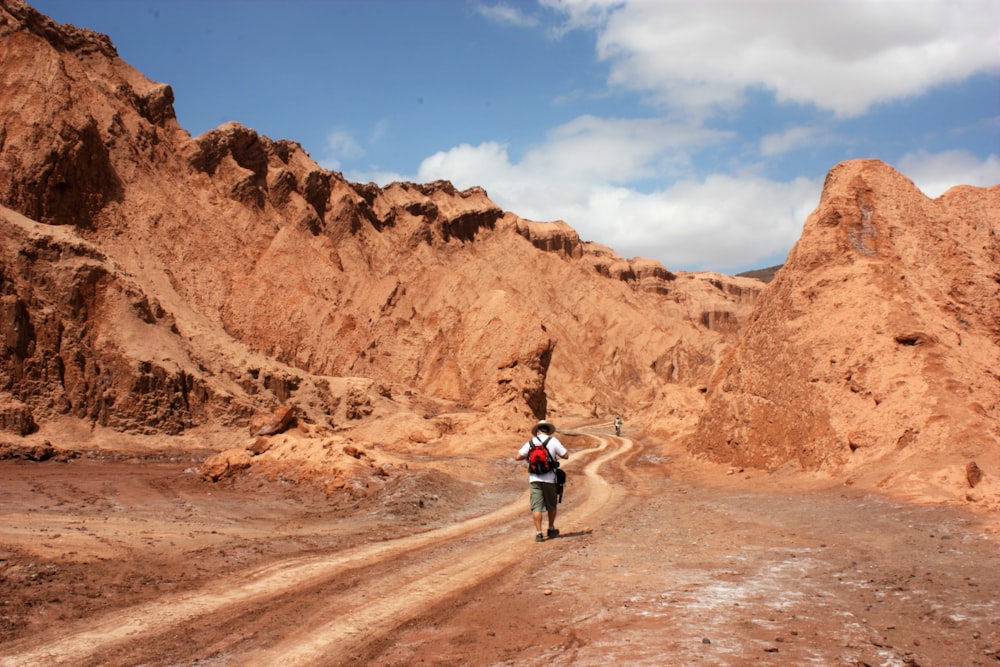 a person walking on a dirt road in a desert