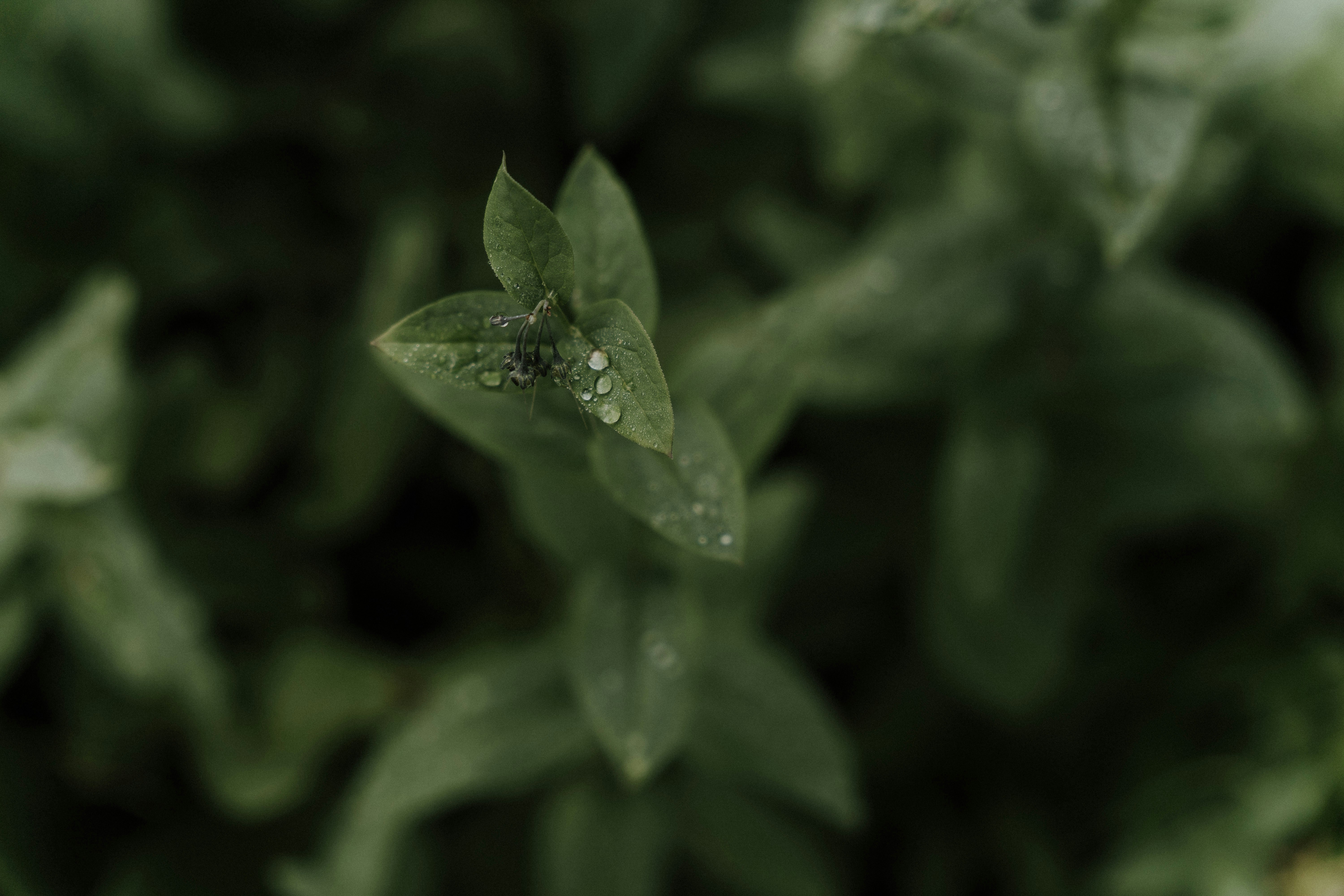 Photo by nomadicfitlust