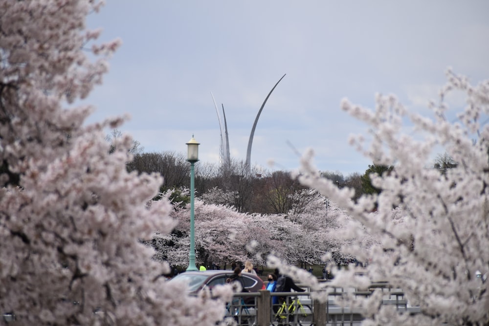 a group of people on a bridge with cherry blossoms on the trees