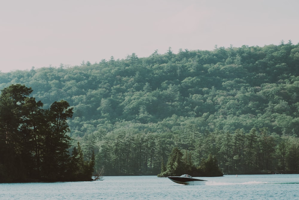 a boat in the water by a forest