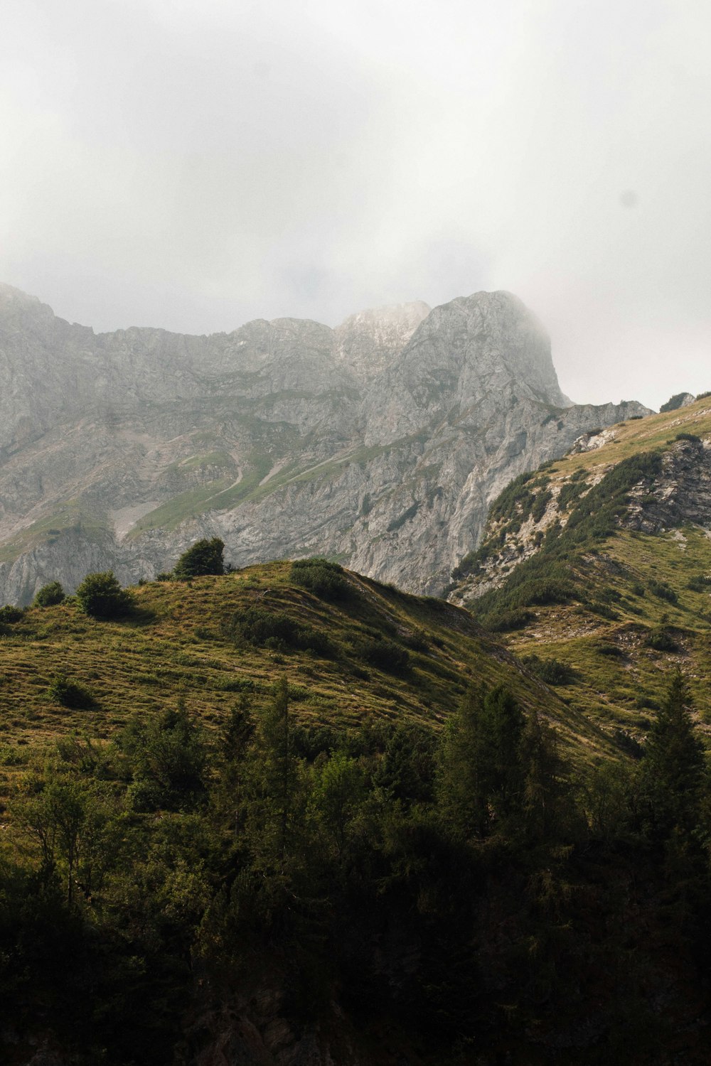 Una valle con alberi e montagne sullo sfondo