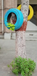 A tree trunk with two old car tires painted blue and yellow attached to it. Green leaves are growing from the central hole of the blue tire. The background includes a building with stairs.