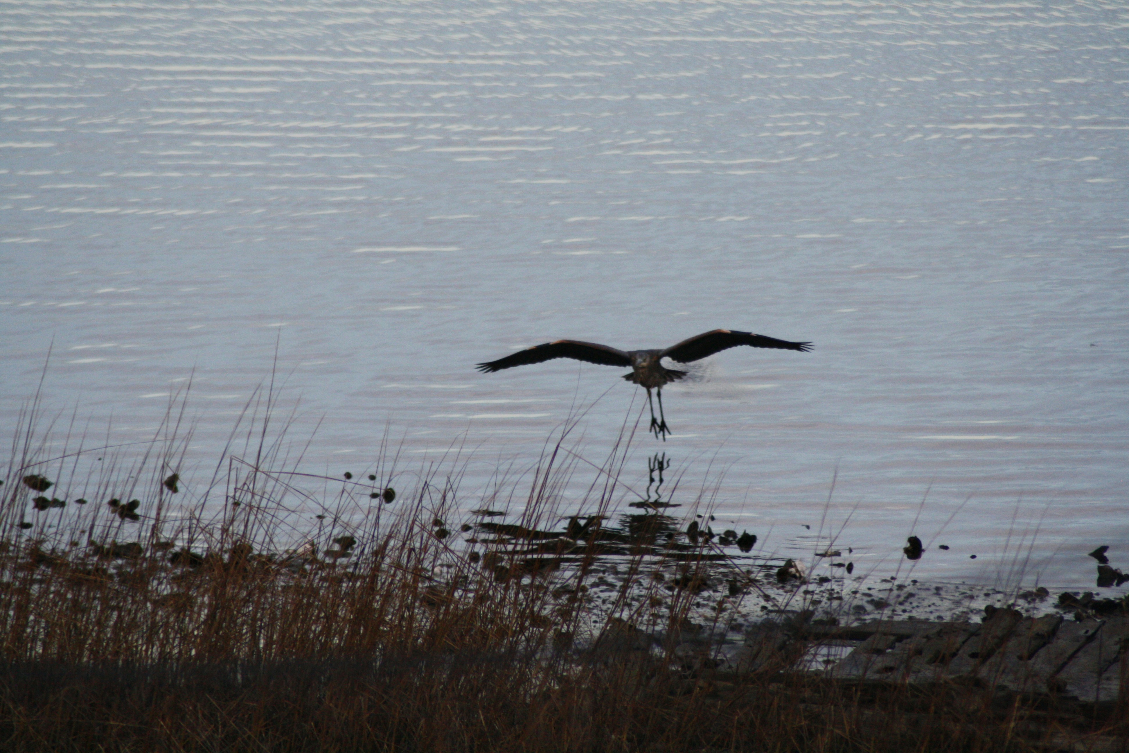 Photo by juliawhite12