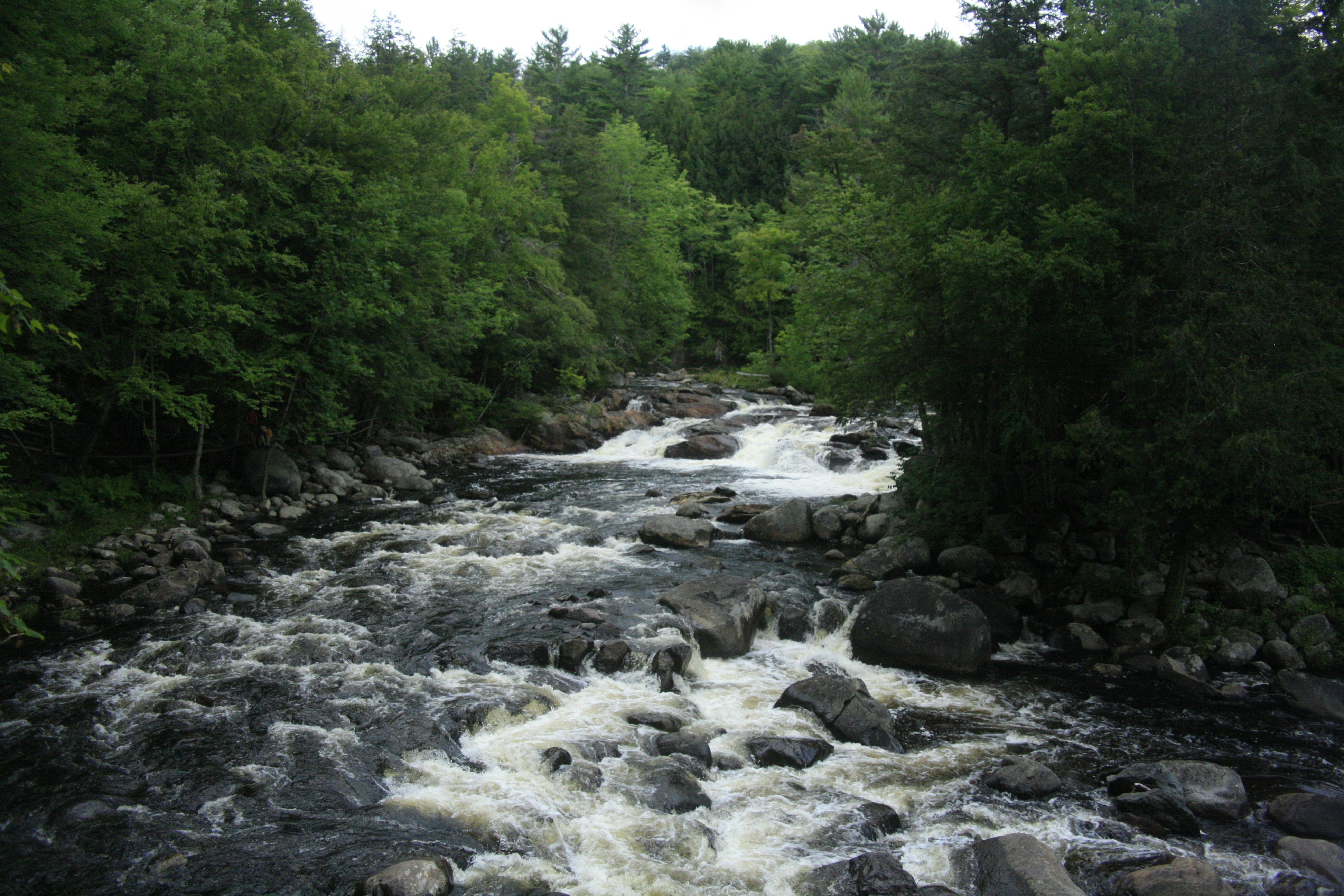 Photo by juliawhite12