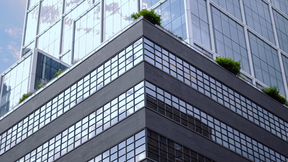 a building with glass windows