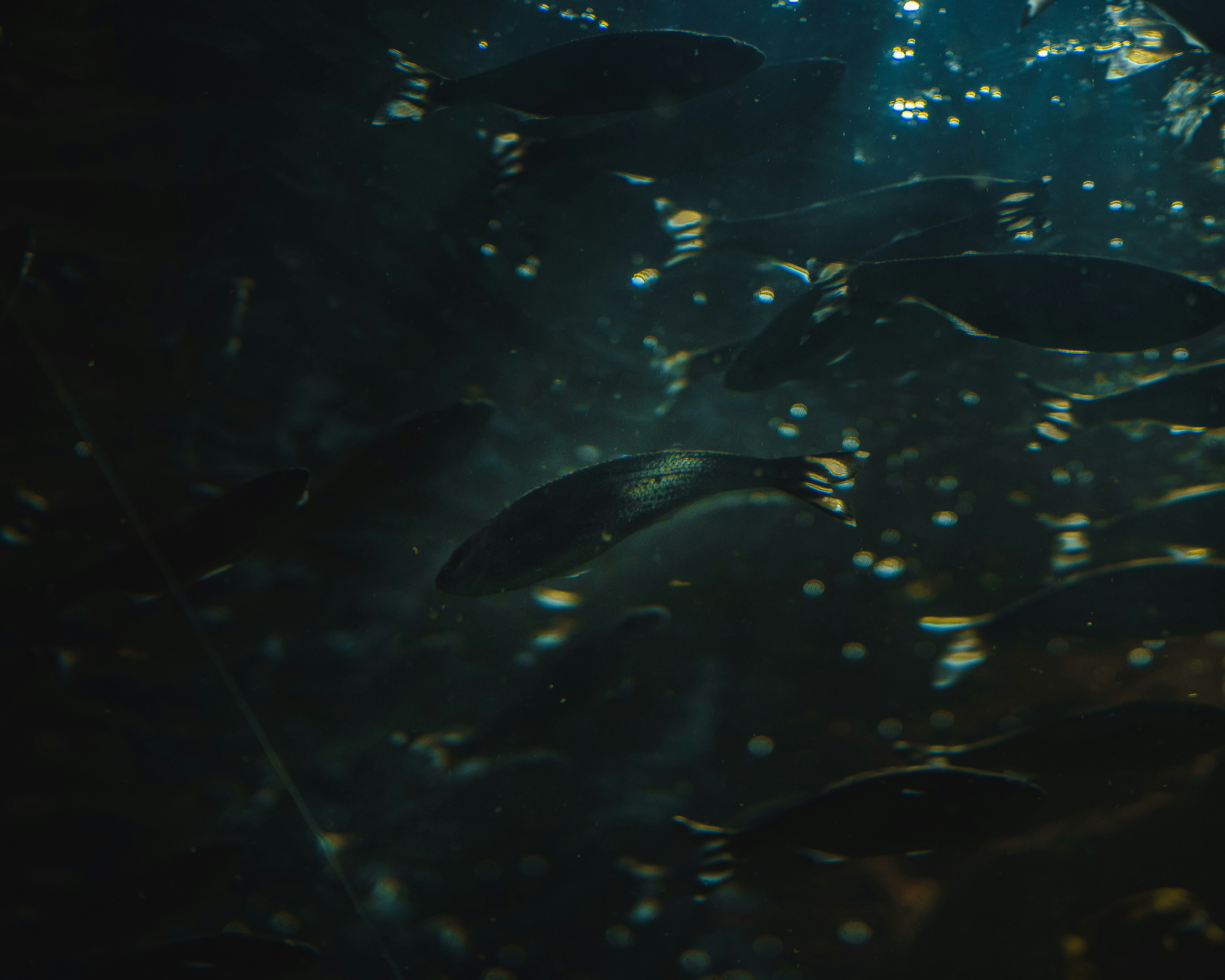 Photo by rubendaniel480