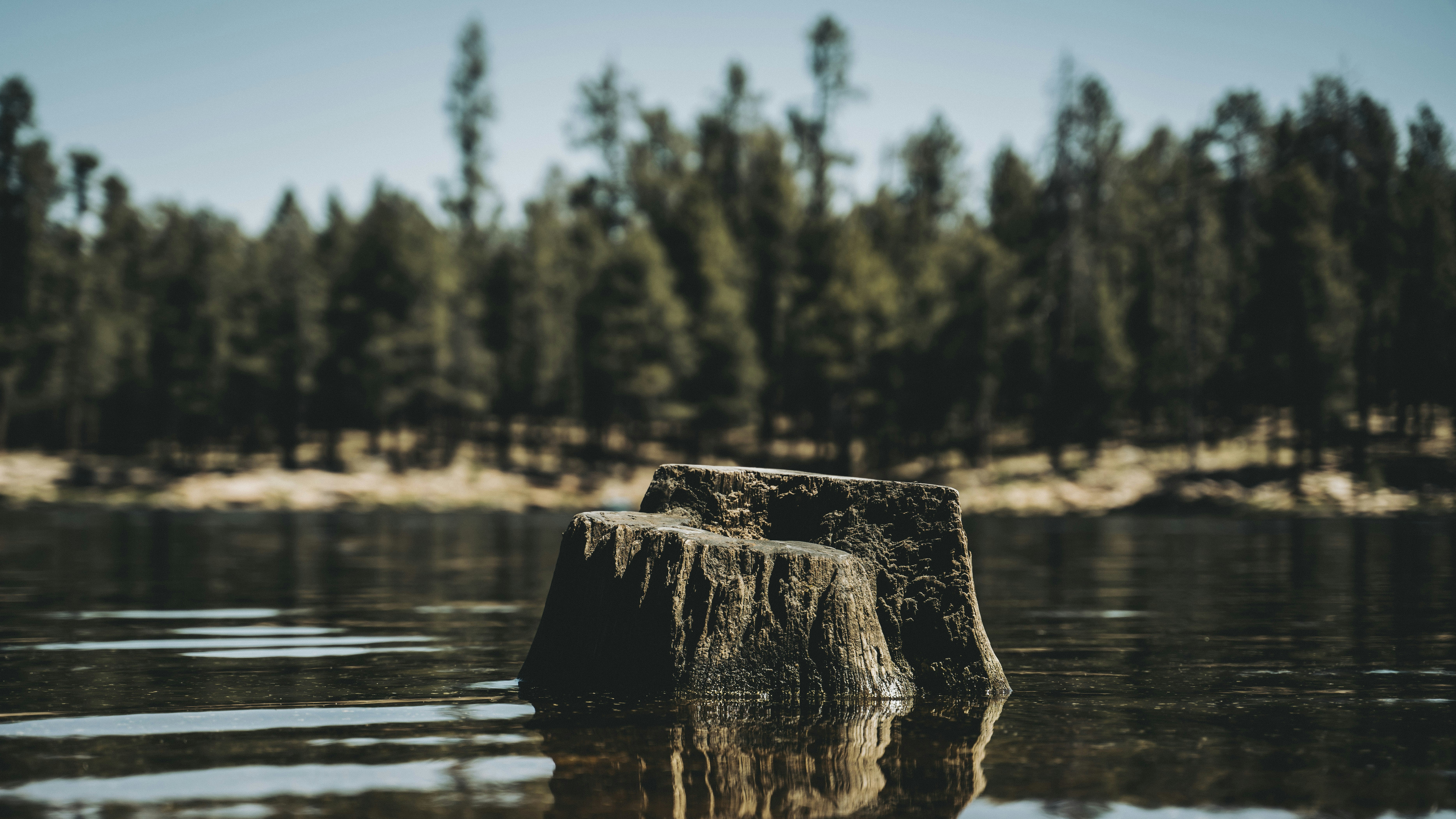 Photo by rubendaniel480