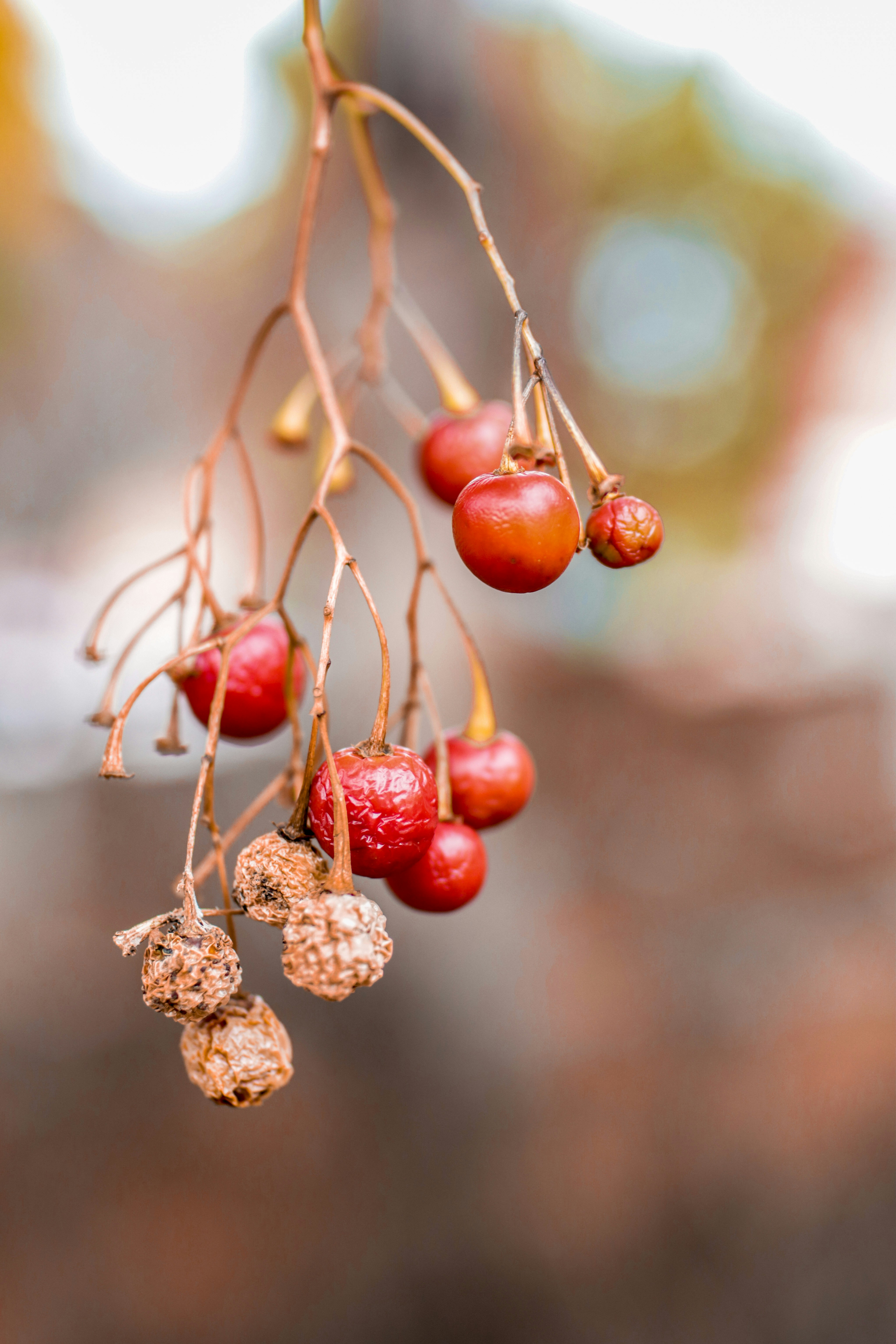 Photo by singhharjiwan