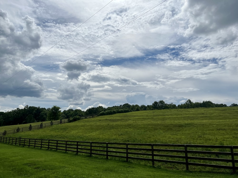 a grassy field with a fence and trees in the background