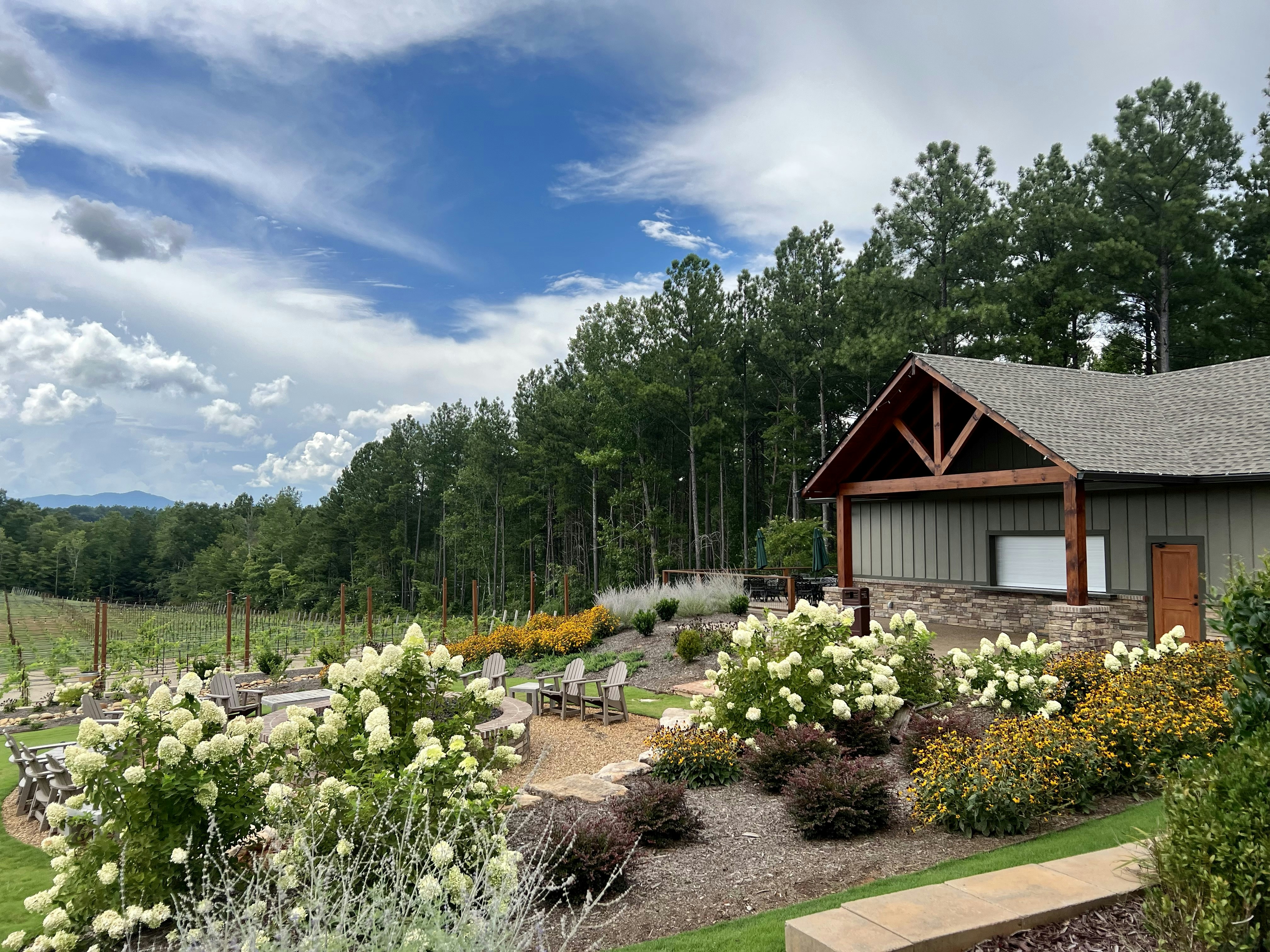 Thriving northern garden with diverse plantings