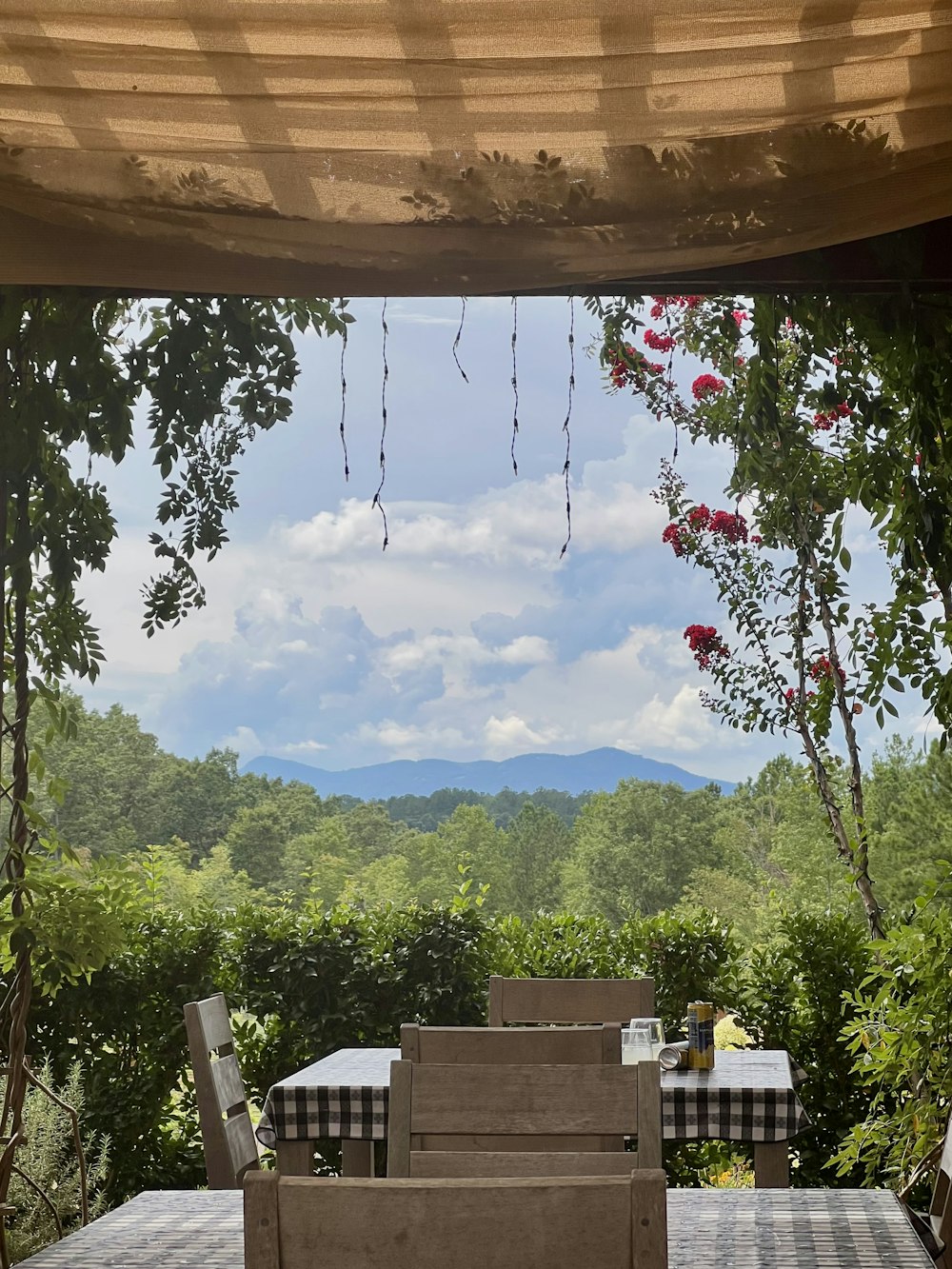 a view of a forest from a balcony