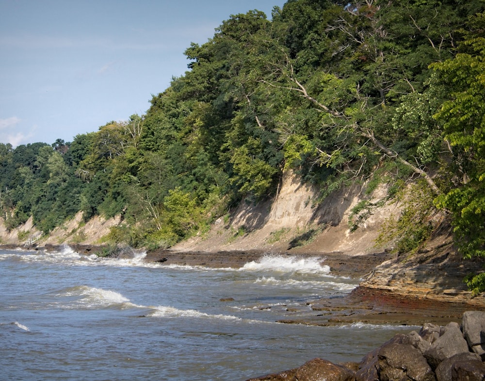 a rocky beach with trees on the side