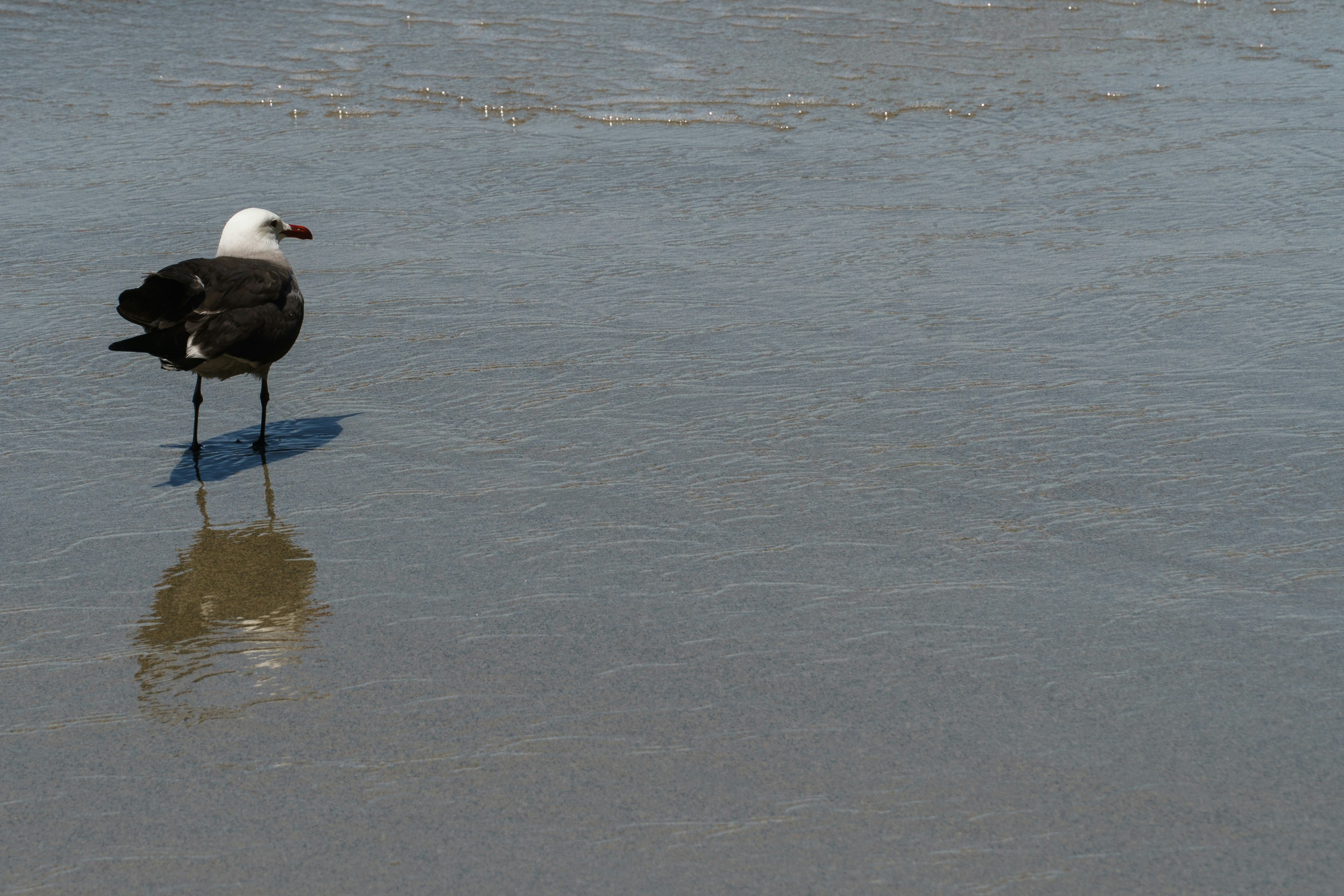 Photo by earl_plannerzone