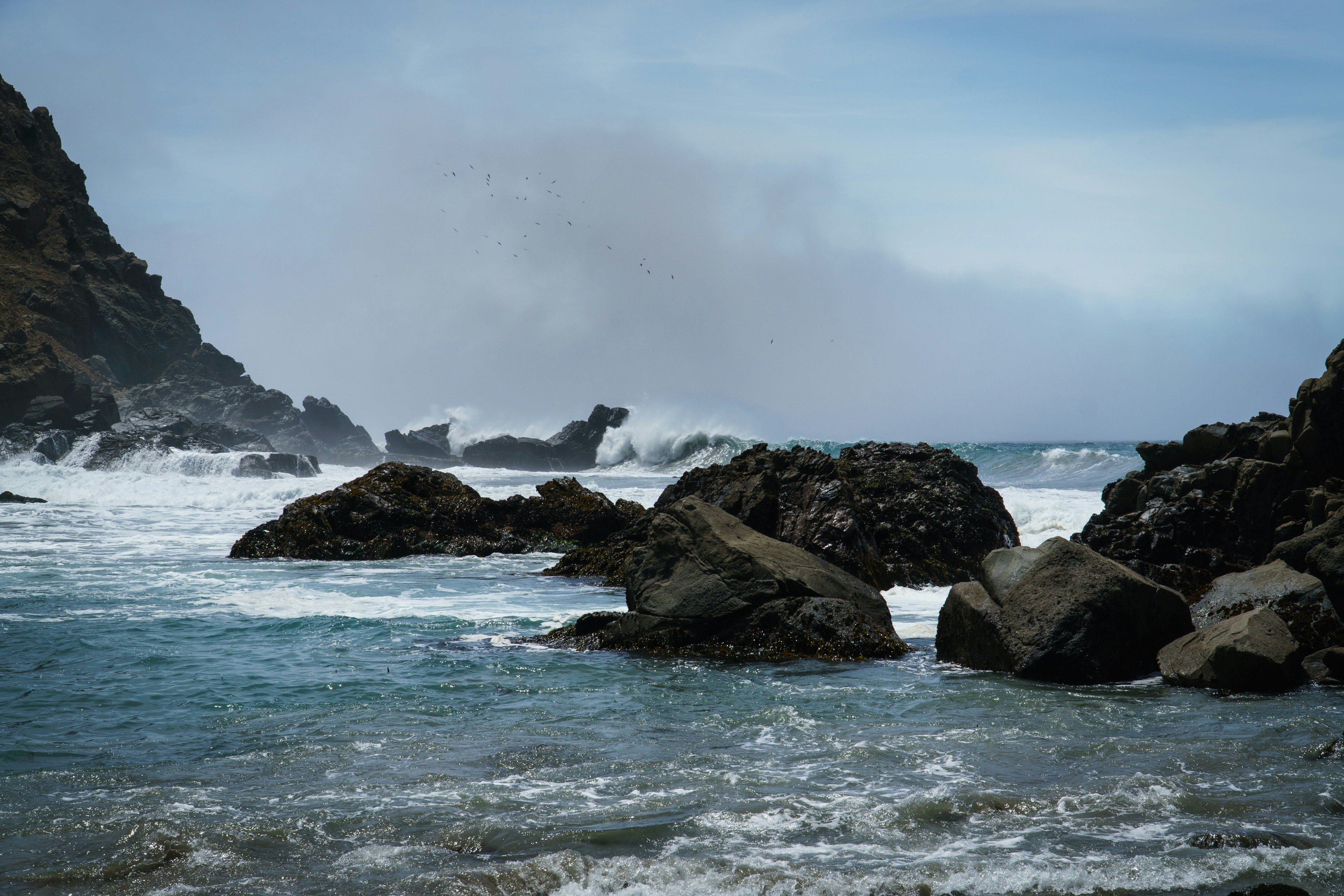 Photo by earl_plannerzone