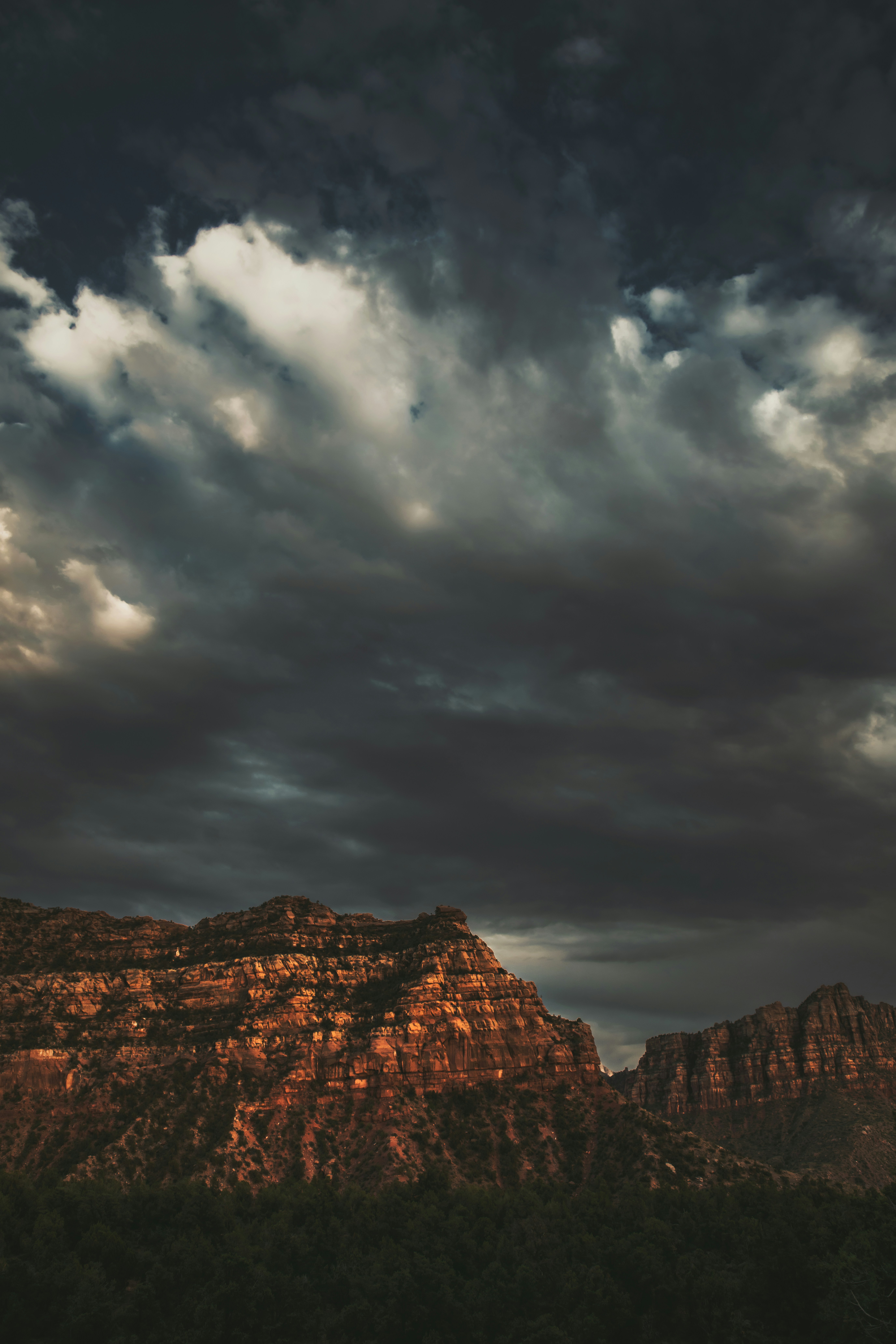 Photo by timmossholder