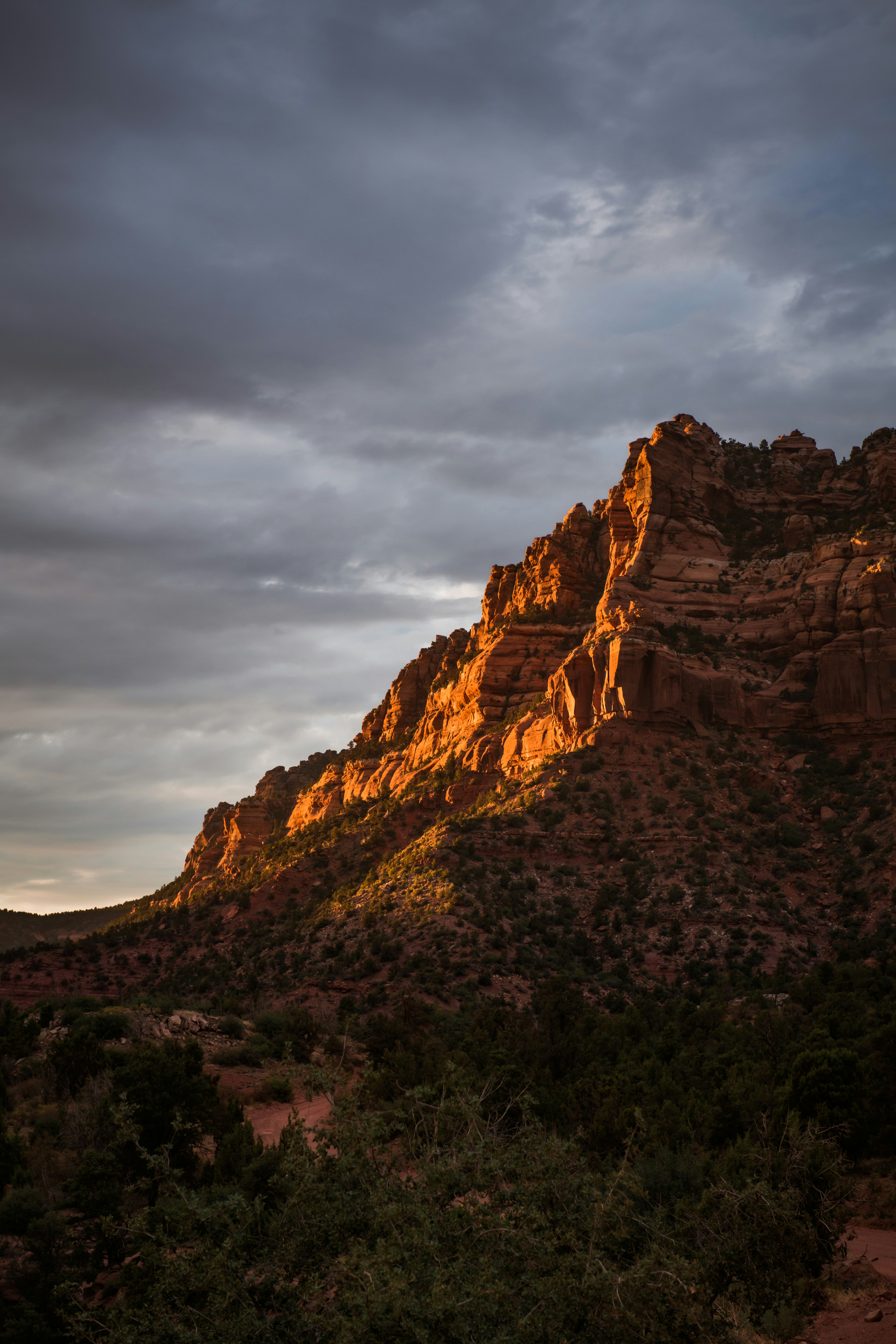 Photo by timmossholder