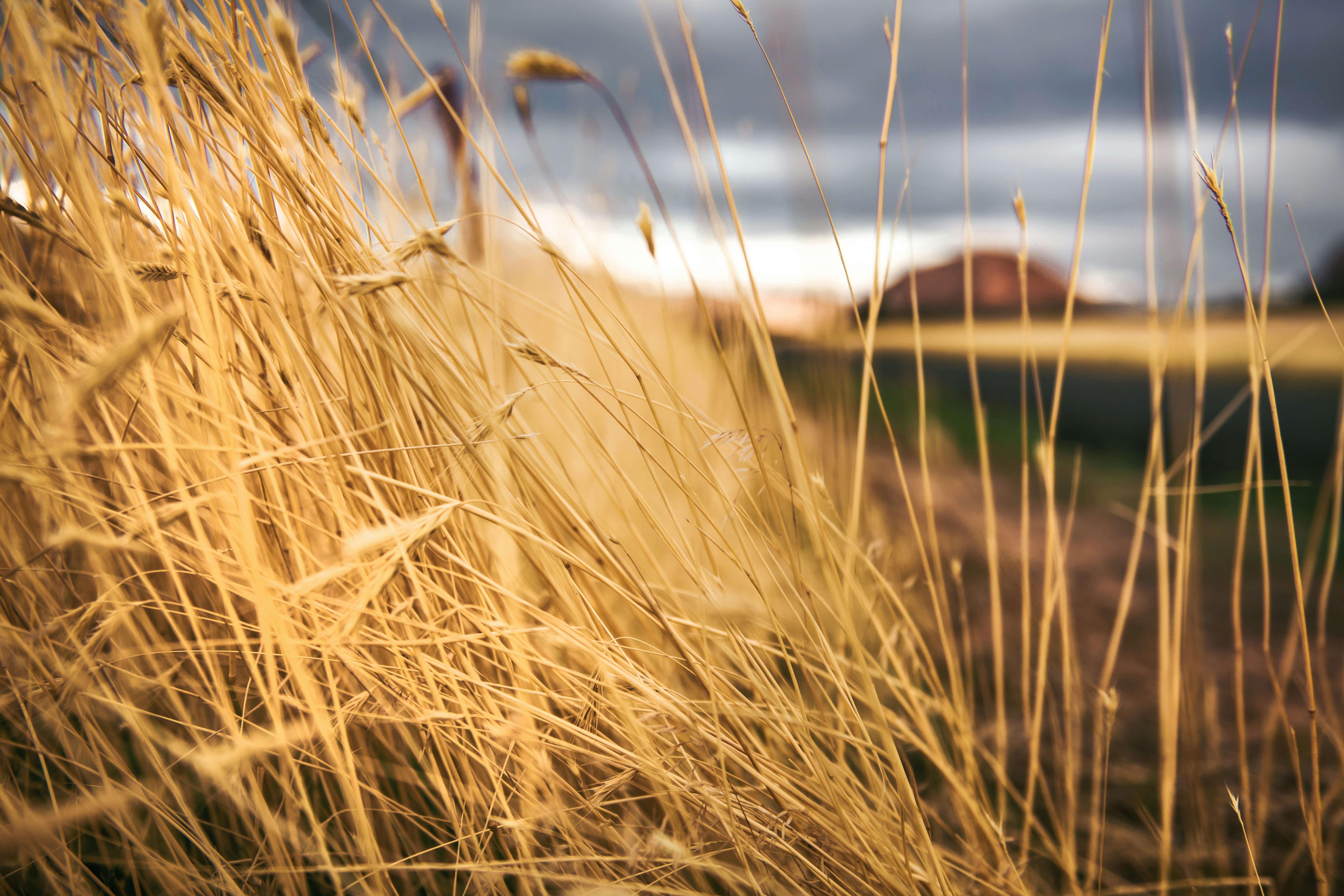 Photo by timmossholder