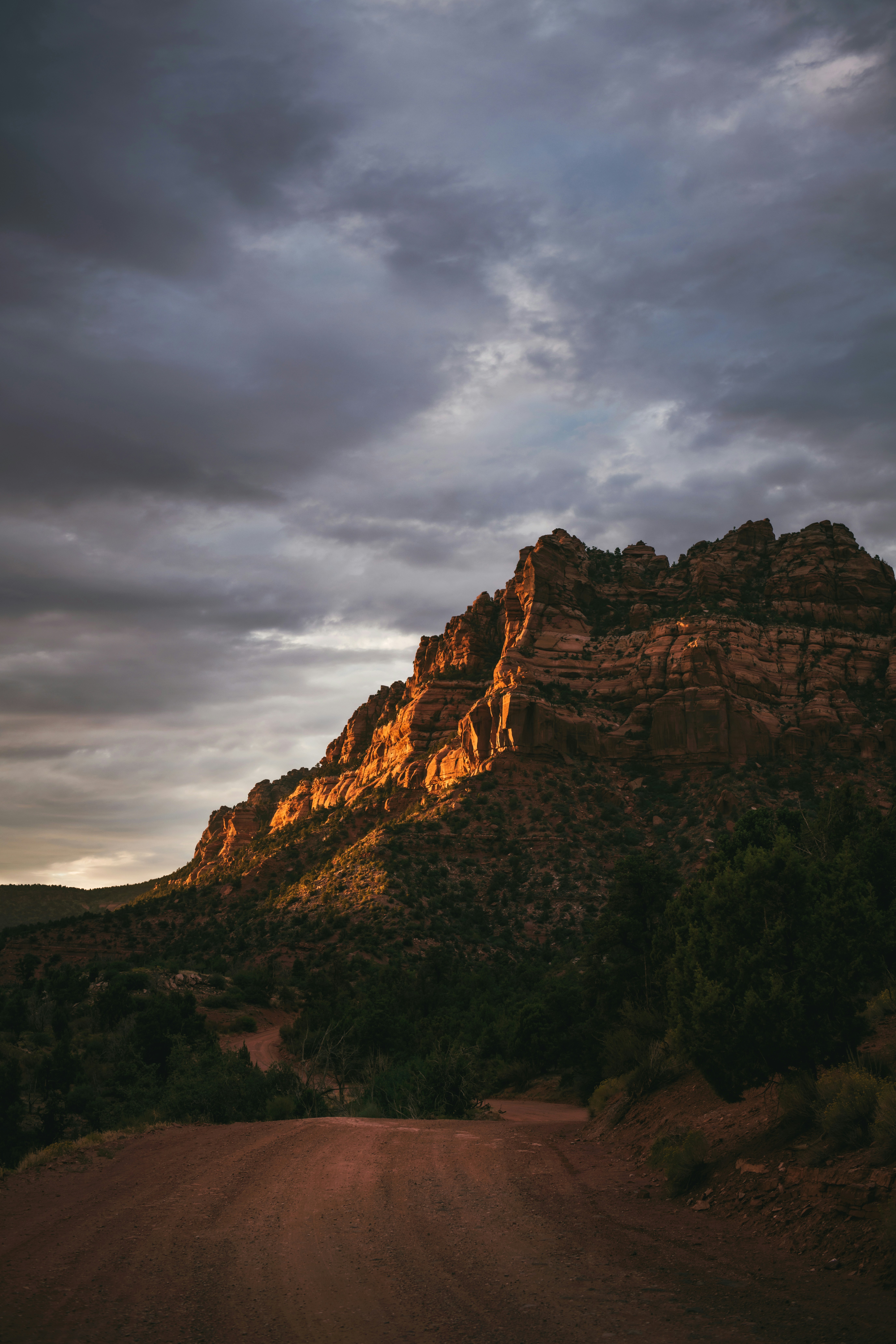 Photo by timmossholder