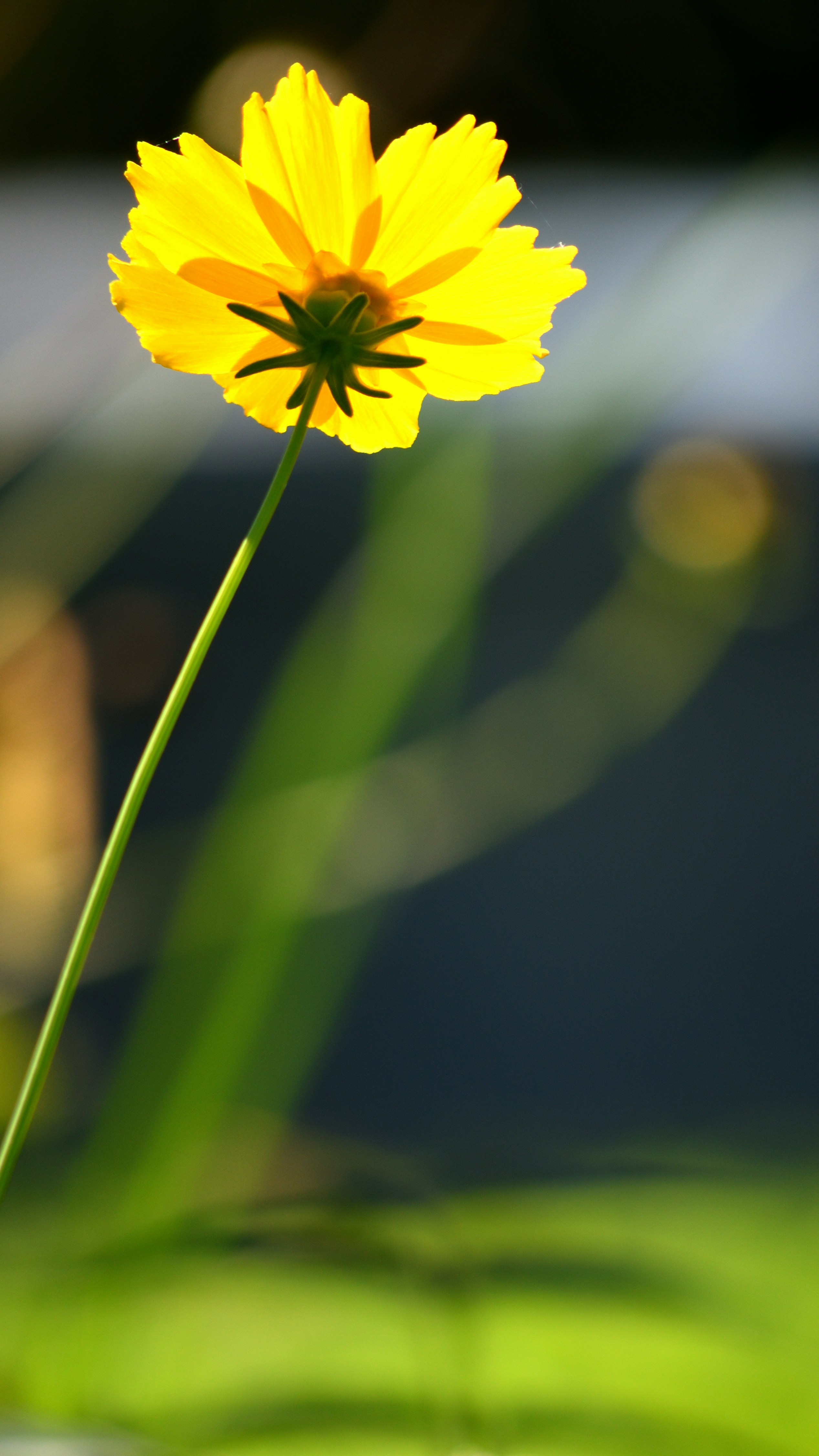 Photo by charleschina