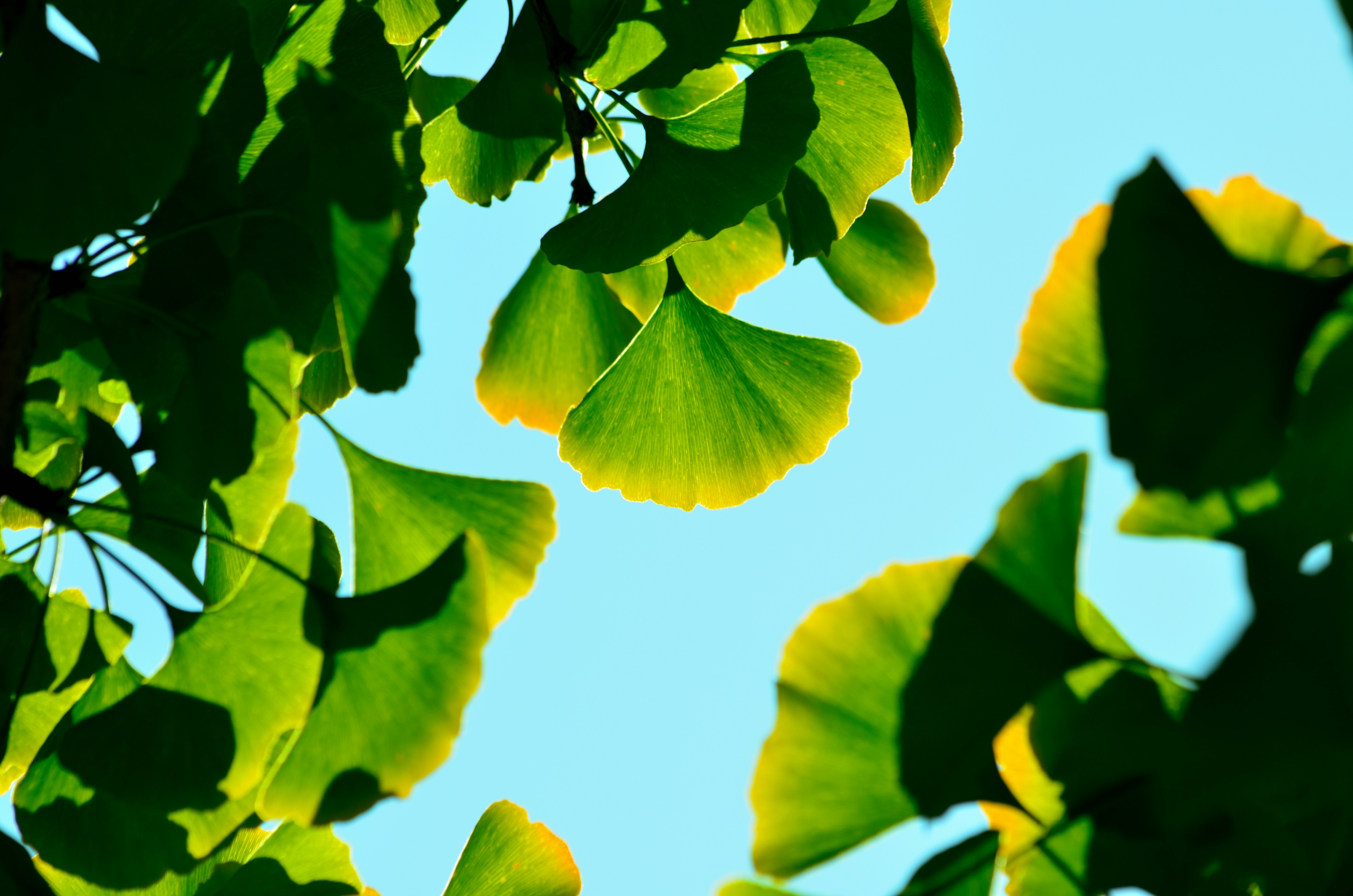 Photo by charleschina