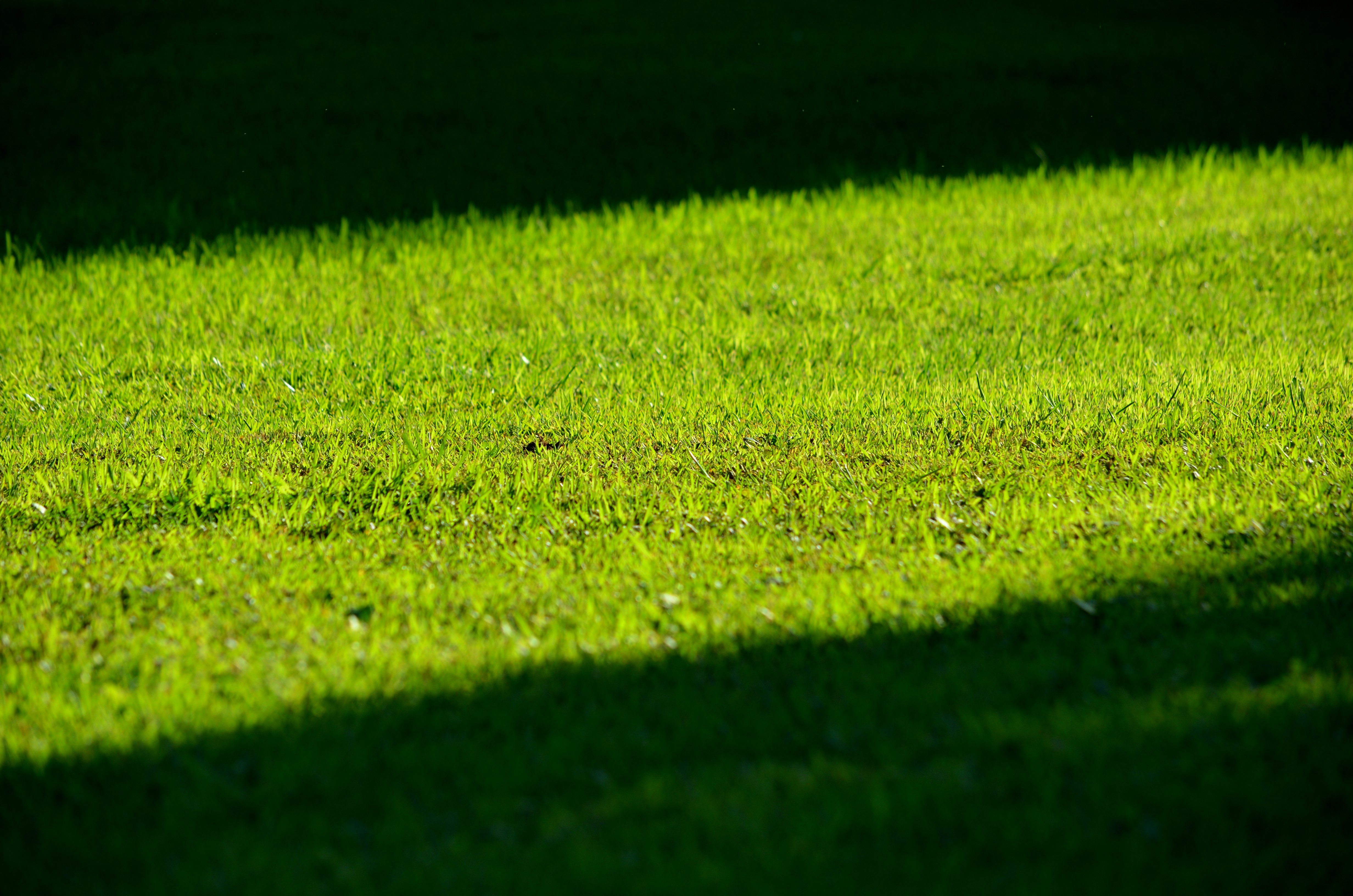 Photo by charleschina