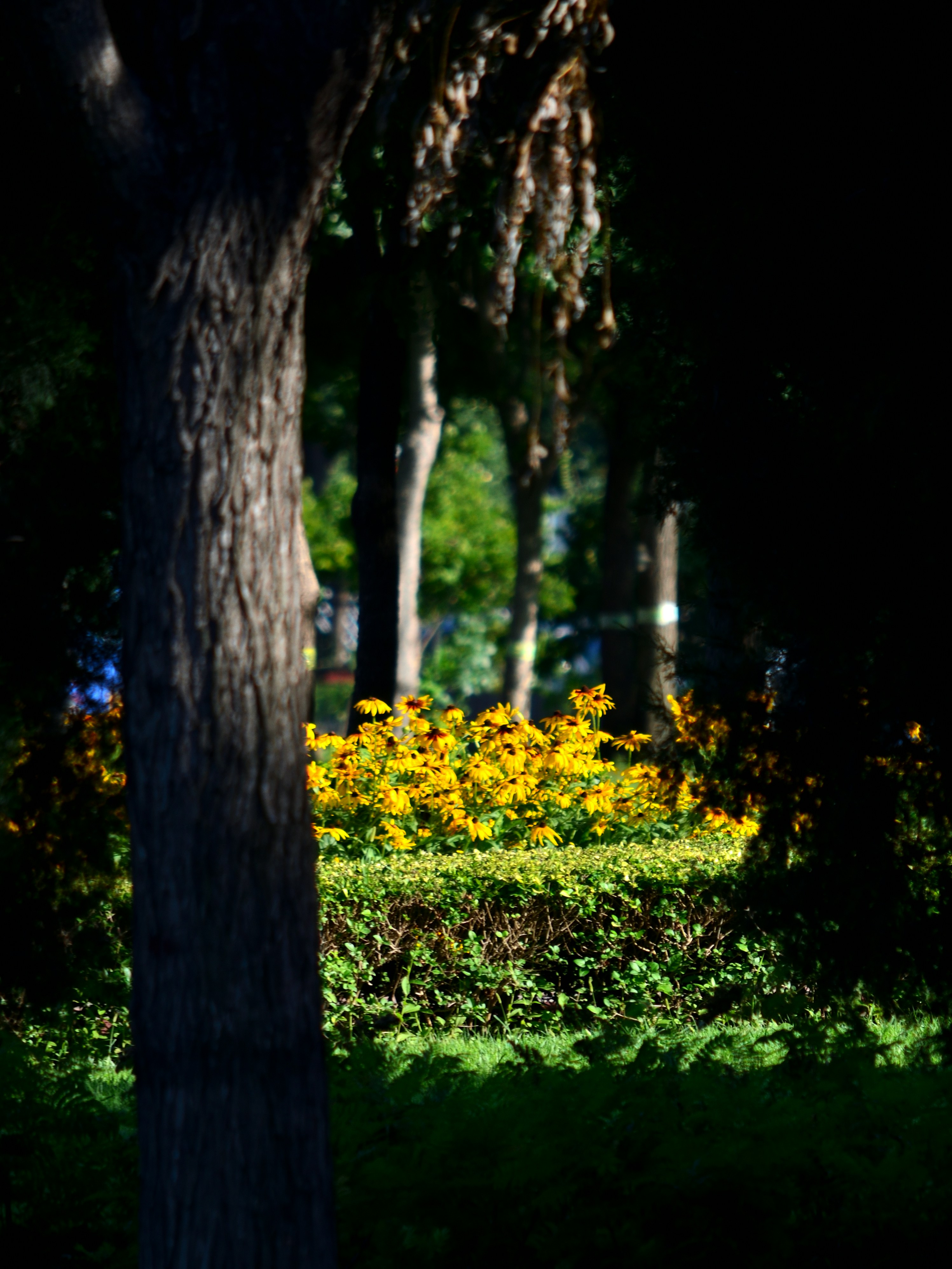 Photo by charleschina