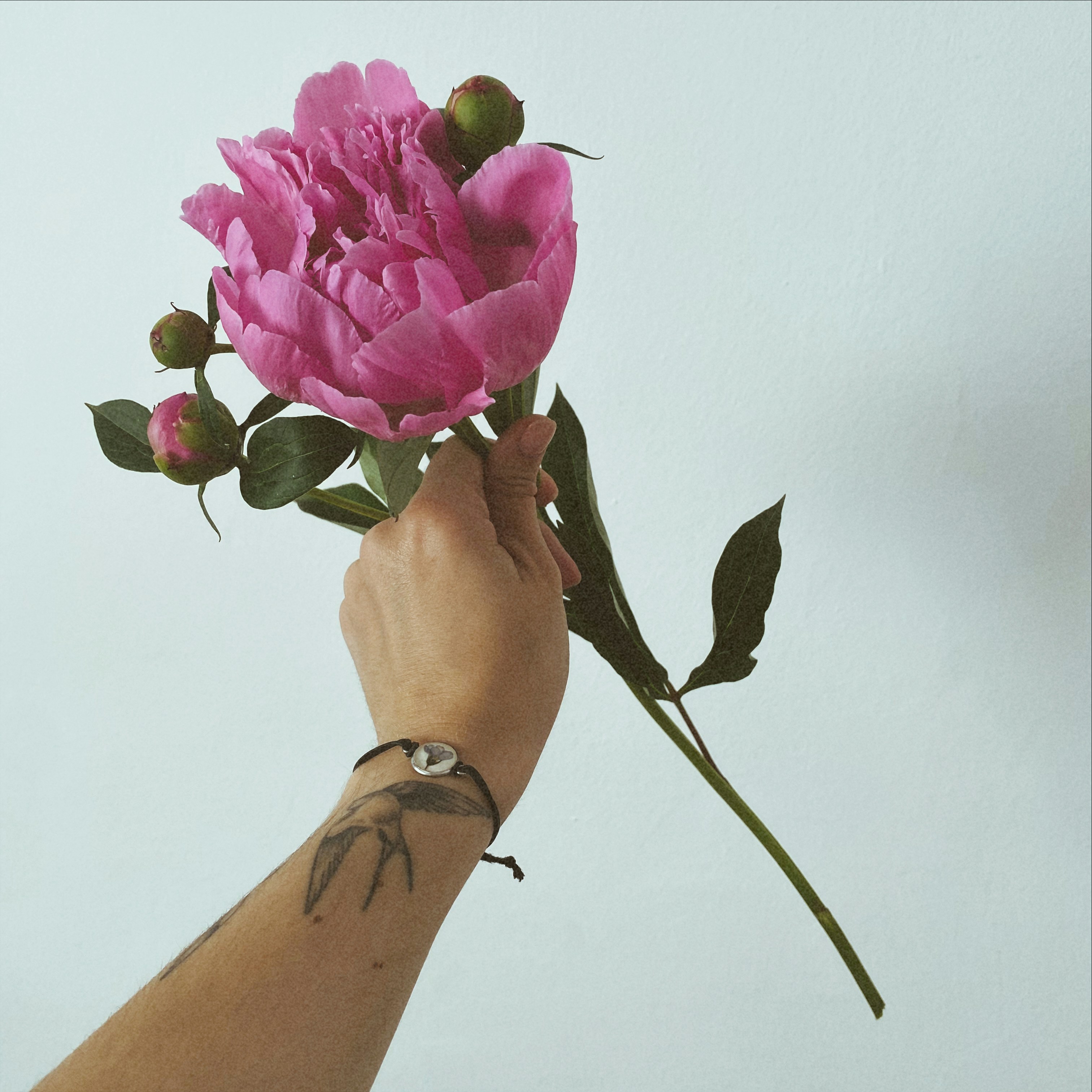 Photo by kakasikriszta