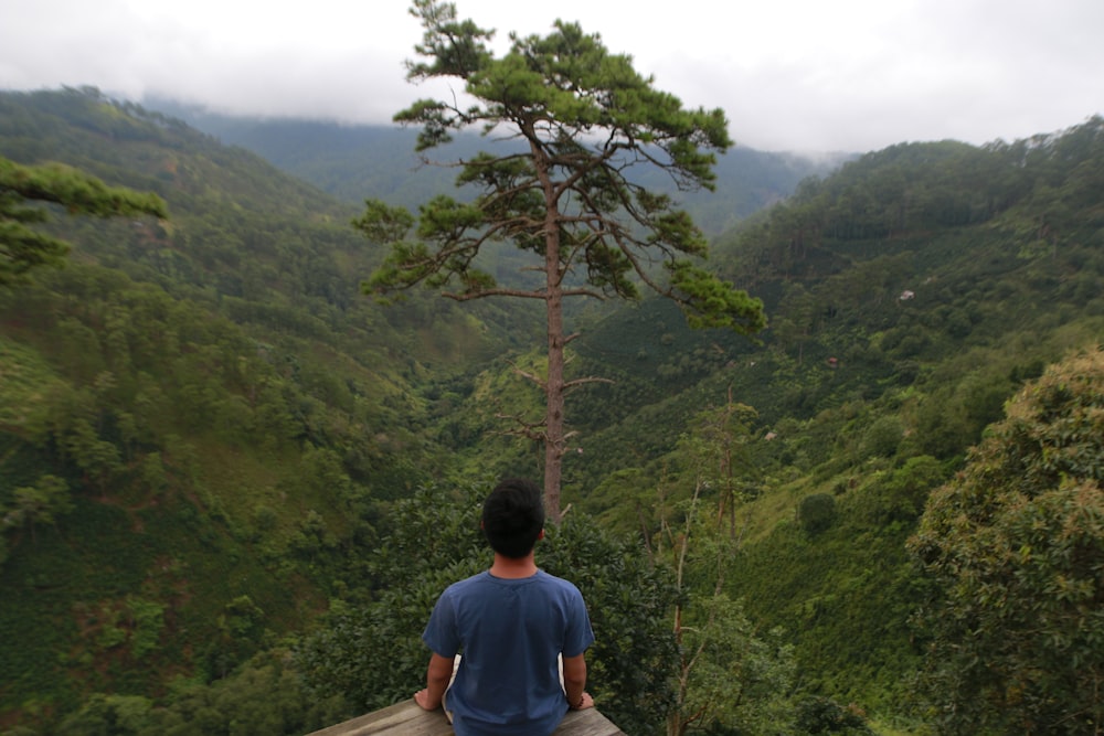 a man standing on a ledge overlooking a forest