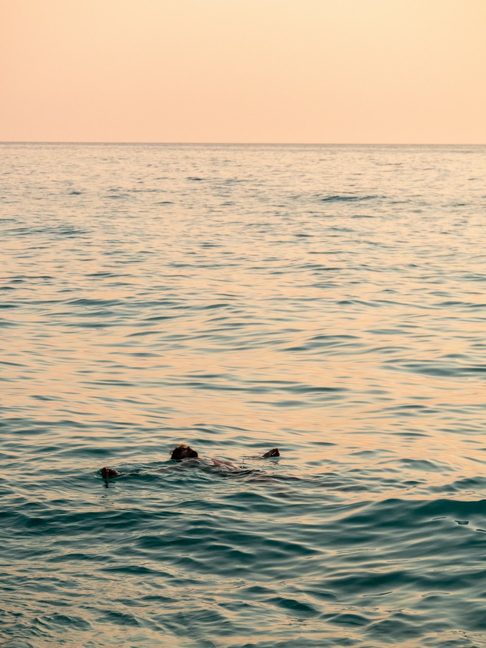 a person swimming in the water