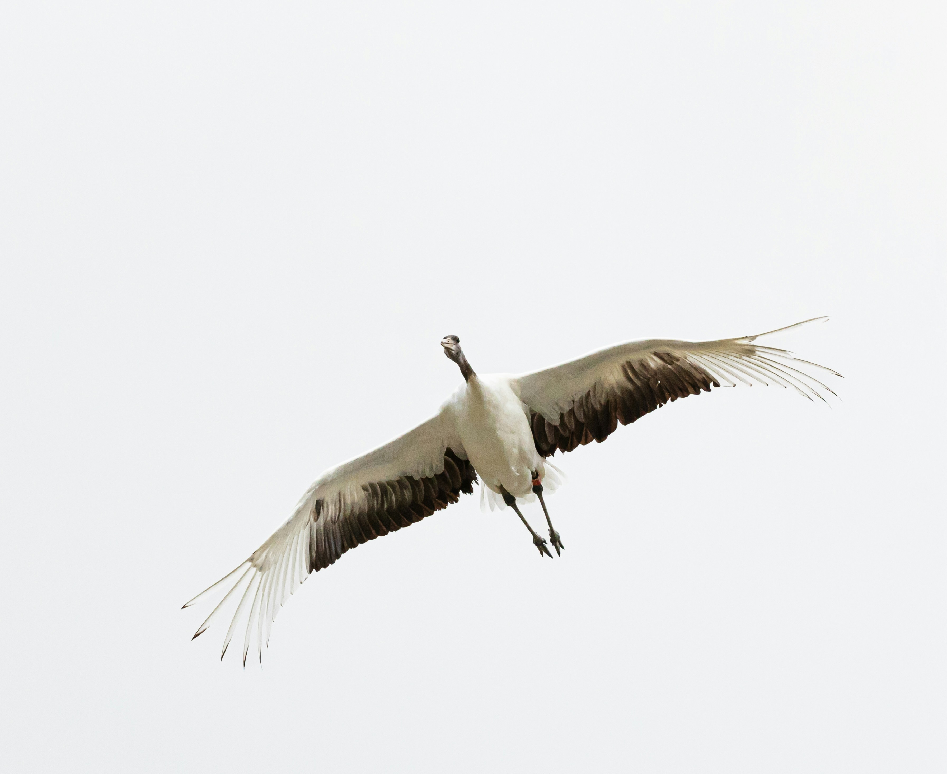 Photo by jl_darren25