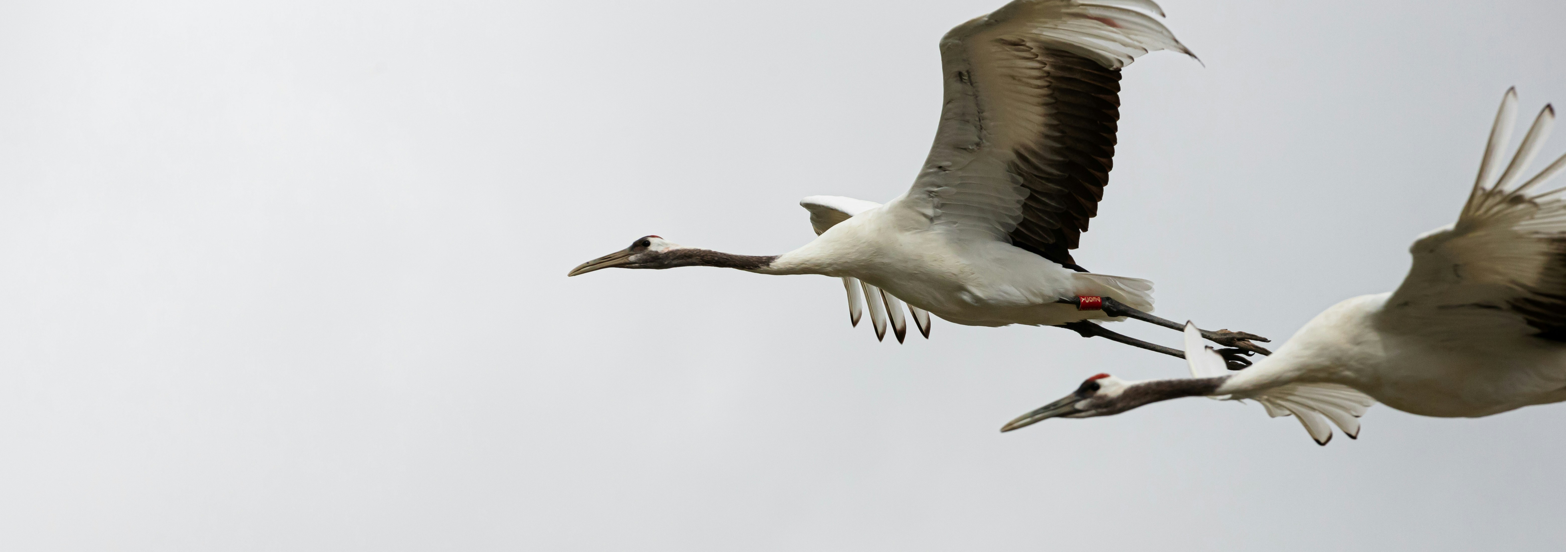 Photo by jl_darren25